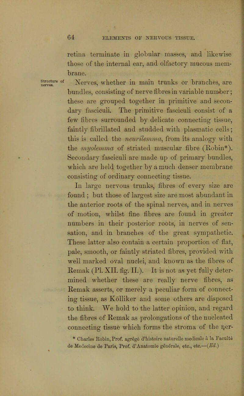 retina terminate in globular masses, and likewise those of the internal ear, and olfactory mucous mem- brane. Nerves, whether in main trunks or branches, are bundles, consisting of nerve fibres in variable number; these are grouped together in primitive and secon- dary fasciculi. The primitive fasciculi consist of a few fibres surrounded by delicate connecting tissue, faintly fibrillated and studded with plasmatic cells; this is called the neu7'ilemma^ from its analogy with the myolemma of striated muscular fibre (Robin*). Secondary fasciculi are made up of primary bundles, which are held together by a much denser membrane consisting of ordinary connecting tissue. In large nervous trunks, fibres of every size are found ; but those of largest size are most abundant in the anterior roots of the spinal nerves, and in nerves of motion, whilst fine fibres are found in greater numbers in their posteiior roots, in nerves of sen- sation, and in branches of the great sympathetic. These latter also contain a certain proportion of flat, pale, smooth, or faintly striated fibres, provided with well marked oval nuclei, and known as the fibres of Remak (PL XII. fig. II.). It is not as yet fully deter- mined whether these are really nerve fibres, as Remak asserts, or merely a peculiar form of connect- ing tissue, as KoUiker and some others are disposed to think. We hold to the latter opinion, and regard the fibres of Remak as prolongations of the nucleated connecting tissue which forms the stroma of the ijer- * Charles Robin, Prof. agr6g6 d'histoire naturelle medioale a la Faculte de Medecine de Paris, Prof. d'Anatomie g^nerale, etc., etc.—{Ed.)