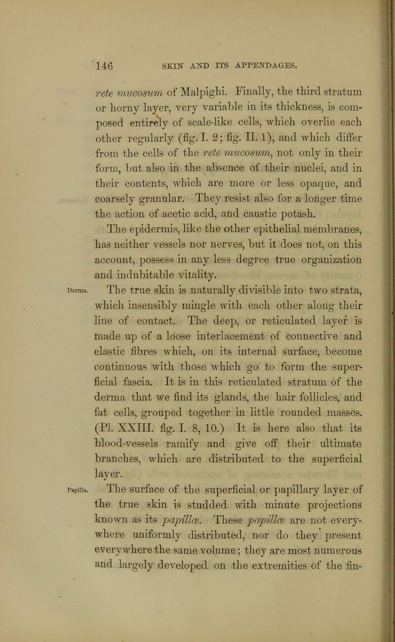 rete mucosimi of Malpighi. Finally, the third stratum or horny layer, very variable in its thickness, is com- posed entirely of scale-like cells, which overlie each other regularly (fig. I. 2; fig. II. 1), and which differ from the cells of the rete mucosum^ not only in their foi'm, but also in the absence of their nuclei, and in their contents, which are more or less opaque, and coarsely granular. They resist also for a longer time the action of acetic acid, and caustic potash. The epidermis, like the other epithelial membranes, has neither vessels nor nerves, but it does not, on this account, possess in any less degree true organization and indubitable vitality. Derma. The truc skiu is naturally divisible into two strata, which insensibly mingle with each other along their line of contact. The deep, or reticulated layer is made up of a loose interlacement of connective and elastic fibres which, on its internal surface, become continuous with those which go to form the super- ficial fascia. It is in this reticulated stratum of the derma that we find its glands, the hair follicles, and fat cells, grouped together in little rounded masses. (PI. XXIII. fig. I. 8, 10.) It is here also that its blood-vessels ramify and give off their ultimate branches, which are distributed to the superficial layer. papiua. The surface of the superficial or papillary layer of the true skin is studded with minute projections known as its papillcB. These papillm are not every- where uniformly distributed, nor do they present everywhere the same volume; they are most numerous and largely developed on the extremities of the fin-