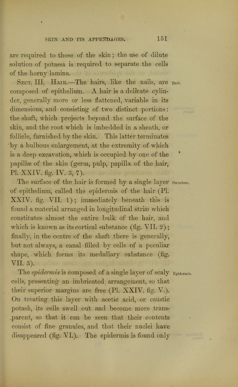 are required to those of the skin; the use of dilute solution of potassa is required to separate the cells of the horny lamina. Sect. III. PIair.—The hairs, like the nails, are Hair, composed of epithelium. A hair is a deli'cate cylin- der, generally more or less flattened, variable in its dimensions, and consisting of two distinct portions: the shaft, which projects beyond the surface of the skin, and the root which is imbedded in a sheath, or follicle, furnished by the skin. This latter terminates by a bulbous enlargement, at the extremity of which is a deep excavation, which is occupied by one of the papillae of the skin (germ, pulp, papilla of the hair, PI. XXIV. fig. IV. 3, T). The surface of the hair is formed by a single layer structure, of epithelium, called the epidermis of the hair (PI. XXIV. fig. VII. 1) ; immediately beneath this is found a material arranged in longitudinal strise which constitutes almost the entire bulk of the hair, and which is known as its cortical substance (fig. VII, 2) ; finall}', in the centre of the shaft there is generally, but not always, a canal filled by cells of a peculiar shape, which foi-ms its medullary substance (fig. VII. 3). The epidermis is composed of a single layer of scaly Epidermis, cells, presenting an imbricated arrangement, so that their superior margins are free (PI. XXIV. fig. V.). On treating this layer with acetic acid, or caustic potash, its cells swell out and become more trans- .parent, so that it can be seen that their contents ^ • consist of fine granules, and that their nuclei have disappeared (fig. VI.). The epidermis is found only