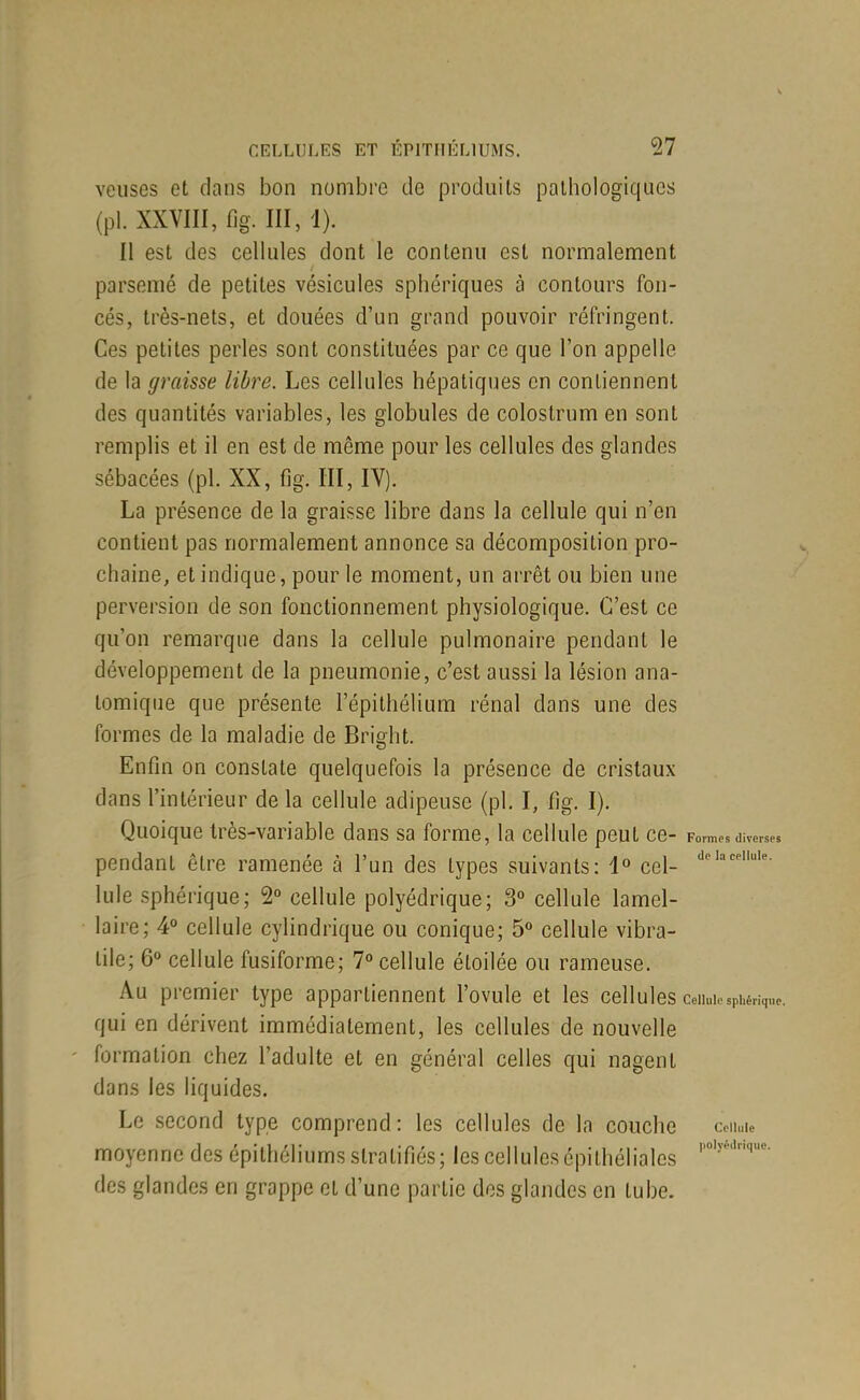 veiises et dans bon nombre de produits pathologiques (pl. XXVIII, f]g. III,'l). Il est des cellules dont le contenu est normalement parsemé de petites vésicules sphériques à contours fon- cés, très-nets, et douées d'un grand pouvoir réfringent. Ces petites perles sont constituées par ce que l'on appelle de la graisse libre. Les cellules hépatiques en contiennent des quantités variables, les globules de colostrum en sont remplis et il en est de même pour les cellules des glandes sébacées(pl. XX,f]g. III,IV). La présence de la graisse libre dans la cellule qui n'en contient pas normalement annonce sa décomposition pro- chaine, et indique, pour le moment, un arrêt ou bien une perversion de son fonctionnement physiologique. C'est ce qu'on remarque dans la cellule pulmonaire pendant le développement de la pneumonie, c'est aussi la lésion ana- tomique que présente l'épithélium rénal dans une des formes de la maladie de Bright. Enfin on constate quelquefois la présence de cristaux dans l'intérieur delà cellule adipeuse (pl. I, fig. I). Quoique très-variable dans sa forme, la cellule peut ce- Formesdivmes pendant être ramenée à l'un des types suivants: 1° cel- Iule sphérique; 2° cellule polyédrique; 3° cellule lamel- laire; 4° cellule cylindrique ou conique; 5» cellule vibra- lile; 6o cellule fusiforme; 7° cellule étoilée ou rameuse. Au premier type appartiennent l'ovule et les cellules ceiiuiosphériquc. qui en dérivent immédiatement, les cellules de nouvelle formation chez l'adulte et en général celles qui nagent dans les liquides. Le second type comprend: les cellules de la couche coiiuie moyenne des épithéliums stratifiés; les cellules épithélialcs des glandes en grappe et d'une partie des glandes en tube.