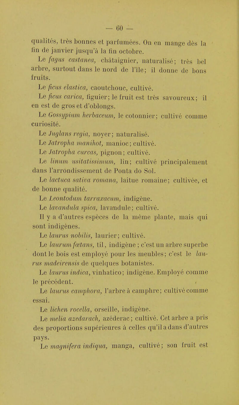 qualités, très bonnes et parfumées. On en mange dès la fin de janvier jusqu'à la lin octobre. Le fagus castanea, châtaignier, naturalisé; très bel arbre, surtout dans le nord de File; il donne de bons fruits. Le ficus elastica, caoutchouc, cultivé. Le ficus carica, figuier; le fruit est très savoureux; il en est de gros et d'oblongs. Le Gossypium herbaceum, le cotonnier; cultivé comme curiosité. Le Juglans regia, noyer; naturalisé. LeJatropha manihot, manioc; cultivé. Le Jatropha curcas, pignon; cultivé. Le linum usitatissimum, lin; cultivé principalement dans l'arrondissement de Ponta do Sol. Le lactuca salira romana, laitue romaine; cultivée, et de bonne qualité. Le Leontoduiii tarraxacum, indigène. Le lavandula spica, lavanclule; cultivé. Il y a d'autres espèces de la même plante, mais qui sont indigènes. Le haï rus nobilis, laurier; cultivé. Le laurumfœtans, til, indigène ; c'est un arbre superbe dont le bois est employé pour les meubles; c'est le lau- rus madeirensis de quelques botanistes. Le laurus indira, vinhatico; indigène. Employé comme le précédent. Le laurus camphora, l'arbre à camphre; cultivé comme essai. Le lichen roeella, orseille, indigène. Le melia azedarach, azéderac; cultivé. Cet arbre a pris des proportions supérieures à celles qu'il a dans d'autres pays. Le magnifera indiqua, manga, cultivé; son fruit est
