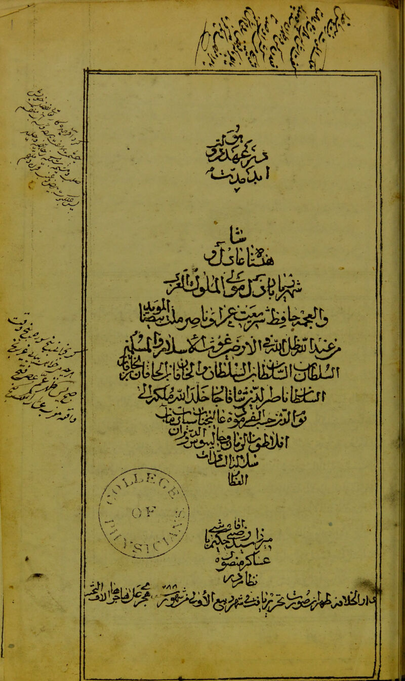 No text description is available for this image