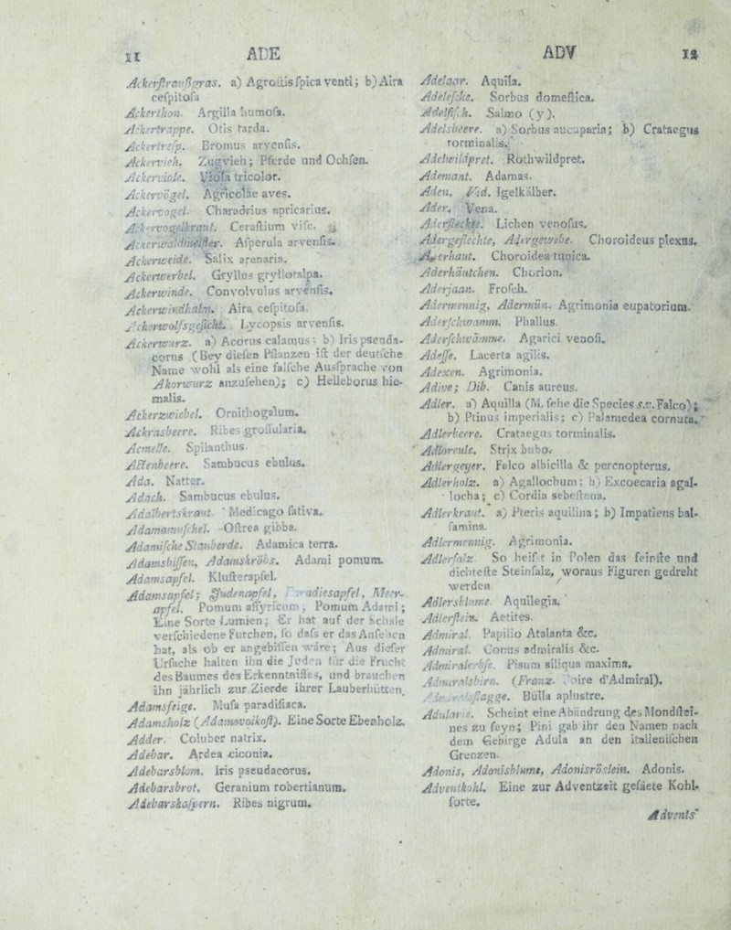 II ADE Ai kcrßravßaras. a) AgrolüsTplca ventij b)AIra cefpitofa At:kfrtkon. Argilla liumof«. yl:'kJirtriippe. Otis tarda. Ackerlrcfp. Bromus arvenfis. jickervieh, 7.(j<?rieh; Pferde und Ochfen. jickeruiole. icolor. Ackcrv'cgel. .\i^ ^lae aves. Ackr.Ti'jrt. Charadrius aprlcarlus. Ac'> Ceradium vife /Ich- ) i ' • Afperula arvenfis. Ackeriti ' ix arenaria. AckcnverbeL Gryllus gryHofalp». Acker wind f. Convolvulus arvenfis, Acket-itiridhalm. Aira cefpitofa. /•ck'jrwolfsgeficht Lycopsis arvenfis. Ackertsurz. a) Acorus calamus •• bHrispscnda- corus (Uevdiefen pflanzen ift iler deiitfche Name wohl aU eine falfche Auäfprache »-on Akormirz anzufehen); c) Helieborus hie- malU. Ackerztticbel. Ornitliogalunu Ackrasbeere. Ribes groilularit. Acmtlh. SpilaiitliiK AFtenbeere. Satnbucus ebiilus. Ada. Natter. Adack. Satnbucus ebula?. Ad '^'■<t- ' Med'cago fativ«. Ad.-. :nl -Oftrea jribba. jldamifche StOfiberde. Adamica terra. Adamshijfen, Adamskröbs. Adarai pomum. Adamsapfel. Klufterapfel. Adamapfei; ^ttdenapfei, i •.radiesapfel, Me^r- apfel. Pomum ailyrrcum , Pomum Adatri; Eine Sorte/vumten; £r bat auf der >>cliale verfcliiedene Furchen, fo dafs er dasAnfeWcn hat, als ob er anj^ebiuen wäre; Aus diijfer Urfache haken ihn die Ji'dM für die Fnich.t «3es Baumes tiea Erkenntniflt-i, und brauchen ihn jahrlich zur Zierde ihrer Lauberhütten, Adamsffii^e. Mufa paradifiaca. Adamiholz {/■djimvaikoßi. üineSorteEbcEholz. Adder. Coluber natrix. Adebar. Ardea <:iconia, AdebarsbL^n. Iris pseudacorus. Adebarsbrot. Geranium robertianuin, Aiebarskafpern. Ribeb nigrurn. ADV I» Adelaar. Aquila. Ade!eß!i!. Sorbus domefllca. Adelßfih. 5aliBo (y). Adelibeere. a) Sorbus aucaparia; b) Crataegus rornainaliSi,:*' Adclwildpret. Rothwildpret. Adetnant. Adama=;. Aden. f'id. IgelkiUber. Ader^ Vena. A ' Liehen venofu<?. Aä:. . . . . :c, A4f<'!^eivebe. Choroldeus plexoä, A^erhaut. Choroidea tunica- Aderhäutchen. Chorion. Adrrjaan. Frol-iu Ademiennig, Aderniün. Agrimonia eupatoriutn. Ad^rlchwamm. Phallus, AJi'rßhtvämmf. Agarici venofi. Adeßt. Lacerta agiüs. AJexeti. Agrimonla. Adive; Dib. Canis aureus. Adler, a) Aqiiüla (M. fehp die Speeles J.r.Falco) ; ^ b) Ptinu? iniperialis; c) Palaniedea cornuta,' Adlerterre. Crataeiiiis tori'-.ii: ' Aifioreulc. Strix bnbp.- Adleraeyer. Fulco albicilla & percnopterus. Adlerhnlz. a) Agallochum; b) Excoecaria agal- locha; c) Cordia sebefU-iia. AdlnkrauU Pteris aquilina; b) Impatlens bal- famina. Adl/rmcnnig. Agrlmonia. Adlerfalz So heift in Polen das feiplle und dichtefie Steinfalz, woraus Figuren gedreht ■werde« AdlnshU'we. Aquilecria,' Adlerßeiru Aetites. Admlrii Papilio Atalanta &c. Admiral- Conus admiralis &c. Admiraicrhß. Pisum siliqua maxima. A.'' ' ' (Franz. .i^ire d'Admiral% / ..■''-'•e. Bulla aplustre. Aduhnt. Scheint eine Abandrunp»; 4es Mondllei- nes KU feyn; Pini {^ab ihr den Namen nach dem Gebirge Adula an den ilaiienifchea Grenzen. Adonis, Adonishlumt, Adonisrö'^lein. Adonis. AdvenlkohL Eine zur Adventztit gefäete Kohl- furte. Advenls