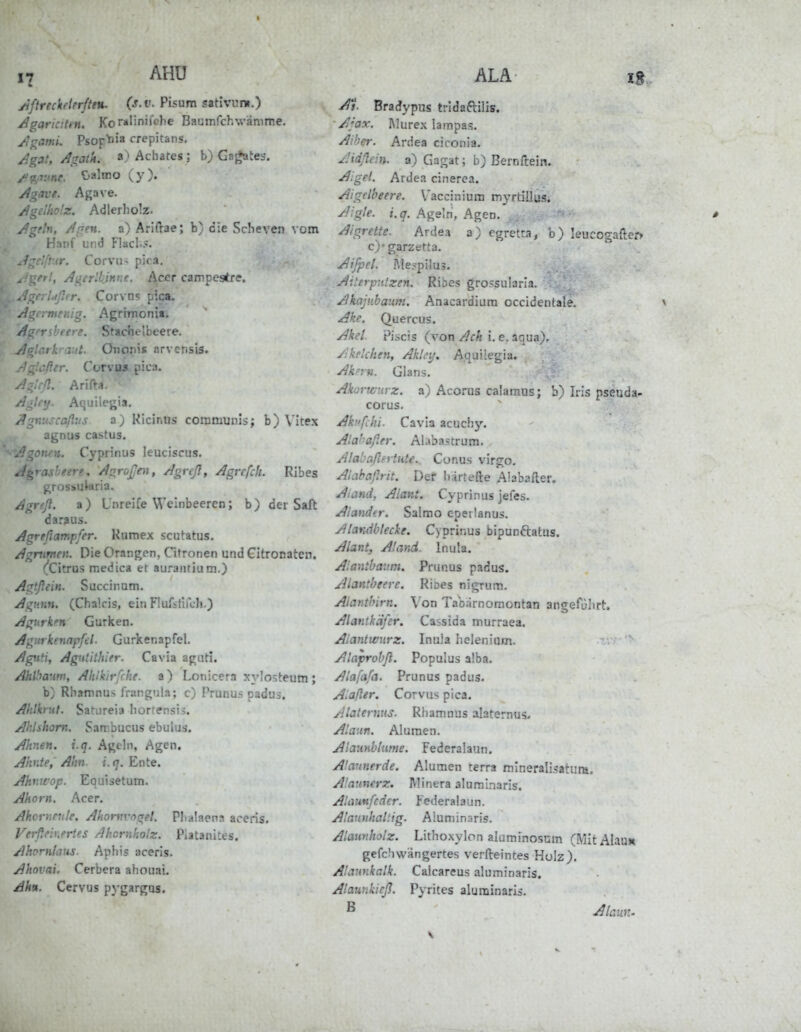 11 AHU yiftreckrierfteu. (s.v. Pisum sativum.) Agaricütn. Kofliri'i^p^e Baumfchwiänime. ^^ami. Psop^ia crepitans. ^.gat, Agatk. ») Achates; b) Ga{*ates. Agave. Agave. Agdkolz. Adlerholz. Agtln, Apen, a) Arlftae; b) die Scheven vom Hanf und Flacl..'. ^:rclftur. Corvii- pica, ^frl, Agerliinnt. Acer campestre. .gerlaßrr. Corvn? pica. Agcrmtnig. Agrrmonii. Agenbfere. Stachelbeere. Aglark -rtt. Ononis arvensis. Aglcßer. Corvus pica. Aglcß. Arifta. Agle\j. Aquilegia. Agnu.^caßiis a) Kiciriiis communis; b) Vitex agnus castus. '•^'Agotifn. Cyprinus leuciscus. A^rasheere, Agroßtti, Agrcß, Agrcfch. Ribes grossiukiria. Agrfß. a) Unreife Weinbeeren; b) der Saft daraus. Agr/ßampfer. Kumex scutatus. Agrumen. Die Orangen, Citronen und Citronaten. (citrus medica et aurantium.) Agtßein. Succinam. Agimn. (Chalcis, ein Flufstiich.) Agiirken Gurken. Agurkenapfel. Gurkenapfel. Agftti, Agutithier. Cavia agati. Aklhaum, Alilkirfche. a) Lonicera xylosteum; b) Rbamnus frangula; c) Prunus padus. Alilkruf. SatLireia horrensis. Ahlshom, San^.bucus ebulus. Ahnen, i.q. Agtln, Agen, Ahnte, Ahn. i. q. Ente. Aknwop. Equisetum. Ahorn. Acer. Ahcvnnilc. Akomvngel. Plialaena aceris. Verßriueries rlhornkolz. Platanites. Ahornlaus. Aphis aceris. Ahovai. Cerbera ahouai. Ahn, Ccrvus pygargus. ALA iB, At Bradypus tridaftilis. A^ax. I\! u rex 1 a m p as. Aiber. Ardea ciconia. jUdßein. a) Gagat; b) Bernftein. Aigel. Ardea cinerea. Aigelheere. Vaccinium myrtillus. Aigte. i. q. Ageln, Agen. Aigrette. Ardea a) cgretta, b) leucogafter» c)'garzetta. Aifpel. ?,Ie?pilu3. Aiterp-itzen. Rihes grossularia. Akaji'.banm. Anacardiutn occidentale. v Ake. Quercus. Akel. Pi.scis (von Ach i. e. aqua). Akelchen, Akh'y. A.quilegia. Ak':n. Glans. Akorwurz. a) Acorus calainus; b) Iris pseuda- corus. Akiifchi. Cavia acuchy. Alahaßer. Alaba^trum. Alabaßertute.. Conus virgo, ALibaßrit. Der härtefte .-^labafler. Aiand, Aiant. Cyprinus jefes. Alandf.r. Salnno cperlanus. Alandhlecke. Cyprinus bipunftatus. Alant, AlarJ. Inula. Aiantbaiim. Prunus padus. Alantbeere. Rioes nigrum. Alanthirn. Von Tabärnomontan angefülirt. Alantkäfer. Cassida murraea. Alantwurz. Inula helenium. Alaprobß. Populus alba. Alafafa. Prunus padus. A'.aßer. Corvus pica. Alaternus. Rhamnus alaternus, Alaun. Aluraen. Alannblume. Federalaun. Almnerde. Alumen terra mineralisatura. Alaunerz. IVIinera aluminaris. Alaunfcdcr. Federalaun. Alanubal'.ig. Aluminaris. Alamholz. Lithoxylon aluminosum (Mit Alaun gcfcliwüngertes verfteinces Holz), Aiaunkalk. Calcareus aluminaris. Alaunkicß. Pyrites aluminaris. ß Alaun.