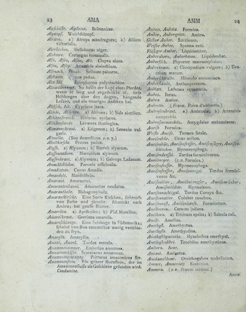 ^ipfchuße, Alpßelng. BelemnUae. /Jlpzopf. Weichfelzopf. Alraun. a) Atropa mandragora; b) Allium viftorialis. Alsroschen. Helleborus niger. Aisbeere. Crataegus torminalis. Alfe, Alfen, Alfän, Als. .Clupea alosa. Alfen, Alfnj. Artexnifia absinthlum. Alfenach, Vinan. Selinimi Dalustre. Altbaum t 'nus padus. Alte Mä Eciophoroti poiystachion. Altewcibtmofrf. So heilst der Kc^pf eine« Pferdes, wenn er lang und abgetkifcht ilt. tiefe Höhlungen über den Augen, hängende Lefzen, und ein trauriges Anfehen hat. Ahfifch, Alt. Cypriniis jeses. Altlu'if, AUiPfsn. a) Althaea; b) Sida abutilon. Althhenßrauch. Hibiscus syriacns. Aithäenßande Lavatera thuringica. Altmannsknrut. a) Erigeron; b) Senecio vul- garis. Altmelke. (Bos domefticus j. «.7.) Alto'tkirfche. Prunus padus. Alyß'e. a) Alyssum ; b) Marrnb. alyssum. Alijjfenandorn. Marrubium ahssum. Alyjfenkraut. a)Alyssum; b) Galeops.Ladanum. Ainachtsblohrn. Paeonia officinalis. Amadistnte. Conu>^ Amadis. Amandole. Mandelftein. A:narant. Amarantu^;. Amaranteubauni. Amarantus caudatus. Amarantholz. Mahagonyliolz. Aitiarautkirfcke. Eine Sorte Kirfclien , lichtroth von Farbe und picnrirf. fchmeckt nacli Ambra j hat groHe Blätter. Amarellen. a) Aprikofen; b) i^/i. Morellen. A>narelikraut. Gentiana amarella. AmarufchUnfie. Eirn; ^chlange in ^^iidamerika; fcheint von Boa constricior wenig verfehle- den zu feyn. Amury'ls- Amarylüs. Ainazl, Atncrl. Turdus merula. Ainazonrnanmer. Emberiza amazona. Amazonenkäfcr. Scarabaeu5 amazonus. Aniazohenpapoirai/ Psittacus amazonicus &e. Amazonenßpin. Kin grüner HornfVein, der im AmazonenfiulTe alsGefchiebe gefunden wird. ConäainhK. Ambeis, Ainheiz- Formica. Amber, Ambergrks. Ambra. Gelber Amber. Succinum. IFeiß'er Amber. Sperma cetl. Fhiß-'g^r Amber. ■ Liquidambar. AnberahoTH, Amberbaum. Liquidambar. Arnbetfifch. Phy.>erer raacrocepiiaius. Ambfrkrant. a) Clinopodium vulgare ; b) Teu- criura marum. AmherfchWalbe. Hirundo ambrosiaca. Amberßaudfi. Antho>pertniHTi. :Ainhlatt. Lathraea squamaria. Amhos. Ihcus. Am'>ra Amber. Ainbrette. QFranz. Poire d'attibrette.) Aiiibroßenkraut. a) Ambrosiaii b) Artemisia calnpe;^trls. AnihroßetimandeUi. Amygdalae ambrosianae-, A'nrife Formica. Weiße Ameife. Termes fatale. Ameifenb'ir. Ursus arftos. Aineifenbär, Ameifeiifreß'er, Amelfcnj'dger, Amcifen- fchluckfir. IVIyrmecophag.i. Amcifendrojfel. Turdus formicivorus. Anieifencyrr- (o^. w. Formica.) Aineifenfreß'er. Myrmecophaga. AineifenfrelJer, Amei/envogel. Turdus formici- vorus &c. Amclfenlihvi', Ameifeni rnj^fer, Ameifenräuber f fiitneifent'ödter. Myrmeleon. Ameifennachtigal. Turdus Coraya &c. Anieifennatter Coluber cenchoa. Aintifennefl, Aineifcnhanfe. Formicetum. Ainrlbecren, Cerams juliana. Amelkorn. a) Triticum spelta; b) Salsola call. Amrll^. Amellus. Amethyß. Amethystus. Ampthyße. Amethystina. Aip.ethifßhyacinthe. Hyacinthns araethyst. A'iteihijßcülibri. Trochilus ametiiystinus. Amhorn. Acer, Amiant. Ami^ntus. AiHidamsblume. Ornithogalum umbeUatum. Anuna; Aniinnitt^j. Emberiisa. Ammern, {s.v. Prunus cerasus.)