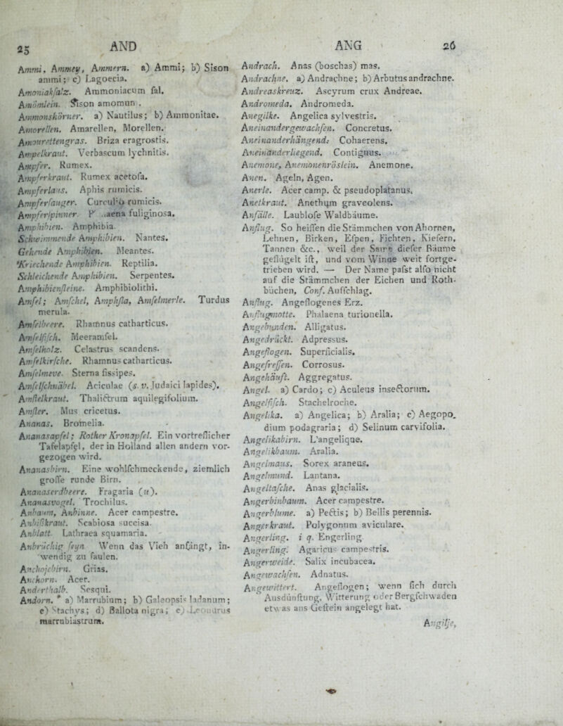 /immi. hmmetf, kmmern. a) Ammi; b) SIson animi;- c) Lagoecia. Artioniakfalz. Aramoniacum fal. hmotnUin. ?ison amomun . hnmonskorner. a) Nautilus; b) Amraonitae, htmrellen. Araarellen, Morellen. Pittmri'ttengyas. Briza eragrostis. Attipelkraut. Verbascum lychnitls. hmpfer. Rumex. fiinpMraut. Rumex acetofa. Anipferla ts. Apliis rumicis. hnipfftfaujrer. Currul'6 rumicis. A'fipfhipinver. ..acna fuliginosa. Pinip!üh:en. Amphibia. Schwimmende Amphibien. Nantes. Gfhnide Amphibfen. Meante-;. 'Kriechende Awphihien. Reptilia. Schleichende Ajiiphibirn. Serpentes. Arnphibicnßeine. Amphibiolithi. Anifel; Amfchel, Aniphßa, Amfelmerle. Turdus merula. A*n^flbrere. Rhaifinus catharticus. A'nfelfifch. Meeranifel. Atvfelhnlz. Celastrus scandens. Anifflkirfche. Rhamnus catharticus. Amfelmtve. Sterna fissipes. Amfclfchiäbel. Aciciilae (5, y. Judaici lapides). Amäelkraut. Thaliftrura aquilegifolium. Anißer. Mus cricetus. Ananas. Brotnelia. Ananasapfel; Rother Kronapfel. Ein vortreflicher Tafelapf^l, der in Holland allen andern vor- gezogen wird. Ananashirn. Eine wohlfclimeckende, ziemlich grofie runde Birn. Ananaserdheere. Fragaria (u). Ananasvoßel. Trochilu>. Anha on, Anhinne, Acer campestre. Anhißkraut. Scabiosa succisa. Anblatt- Lathraea squamaria. Anbrüchig feyn Wenn das \'ieh anOingt, in- wendig zu faulen. A'nchojchirn. Grias. Anchorn. Acer. Anderthalb. Sesqut. Andorn. * a) Marriibinm; b) Galeopsi= liflanum; e)^t3chyä; d) ßallota nigra; -iiCOiiarua raarrtibluscrum. Andrach. Anas (boscbas) mas. AnJrachnp. a)Andracbne; b) Arbutnsandrachne. Andreaskreuz. Ascyrum criix Andreae. Andromeda. Andromeda. Av.egilke. Angelica sylvestris. Aneinandergewachfen. Concretus. Anri nanderh'dnifendi Cohaerens. Aneinanderliegend. Contiguus. Anemone, Anemonenröslcin, Anemone. Anen. Ageln, Agen. Anerle. Acer camp, & pseudoplatanus. Anetkraut. Anethifm graveolens. Anfälle. Laublofe Waldbäume. Anßug. So heißen die Stammchen vonAhnrnen, Lehnen, Birken, Elpen, Fichten. Kielern, Tannen &c., weil der Same diefer Bäume geflügfclt ift, und vom Winae weit fortge- trieben wird. — Der Name pafst alfo nicht auf die Stämmchen der Eichen und Roth- buchen, Con/. Auffchlag. Anflug. Angeflogenes Erz. Ahp.'igtnotte. Phalaena turionella. Angebenden. AUigatus. Angedrückt. Adpressus. Angeflogen. Superncialis. Angefreffen. Corrosus. Angehäuft. Aggregatus. Angel, a) Cardo; c) Aculeus inse6lorum. Angelfifch. Stachelrociie. Angelika, a) Angelica; b) Aralia; c) Aegopo, dium podagraria ; d) Selinum carvifolia. Angelikabirn. L'angeliqae. Angelihhautn. Aralia. Anrj^clmaiis. Sorex araneus. Angelmund. Lantana, Angeltafche. Anas glacialls. Angerhinbaum. Acer campestre. Angerhlume. a)Pe6tis; b) Bellis perennis. Angn kraut. Polygonum aviculare. Angerling. i q. Engerling Angerling. Agaricu^- campestris. Angertveide. Salix incubacea. Angrwachfen. Adnatus. Ar.gewittrrt. Angeflogen; wenn firh durch Ausdünftung. V/irtenmp; f crr ßergfchwaden etwas ans üeftein angelegt hat. A-igilje,