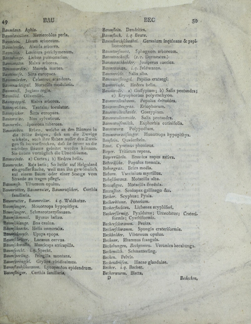 Baumtjus. Aphis. Baumlaitslöwe. Henieroblos perla. Baumleiti. Linum arboreum. l]t3Uf!:''r:lte. AlauJa arborea. IIa Lonicefa periclymenum. B.i: ■ 4''- Lkben pulnionarius. Btrtfnmalve. Malva arborc-a. Bavtmnarder. MusreU niartes. • ■ff. Sitta europaca. ■nicr. Celastrii^. scandens. Ba-imnaclitifralL MotacHla modularis, Ba'tfuytß. Jiij^lans regia, BiJ ■.'/;..'/,/. Olivenöbl. Biiuwfapprl. Malva arborea. hatinii fl.kan. Tantaluj loculator. BMtti:f icker. Sitta europaea. Batwira'ze. Mus sylvaticus. Baumrebe. Ipoinoea tuberosa. Bmnirelren Relen, welcbe an den Bilamen In die Höhe fteigen, Cell um die Zwij^e wickeln, auch ihre Reben aufler den Zwei- gen fo licj vorftrecken, dafs fie ferner an die näciuten ßaame geleitec werden können. Sic lieben vorzüglich die Ülmcnbäume. Baumrinde, a) Cortex; b) Hedcra helix. Baumroche. Rajabatis; So lieifst auf Helgoland ein grofferRoche, weil man ihn gewöhnlich auf einem Baum oder einer Stange vom Strande zu tragen pflegt. Baumrofe. Viburnum opulus. Baumrii-ftcr, Baumreuler, Baumrutfchcr. Certhia familiaris. Baumrutter, Baumreittr. «. ^. Waldkatze. Banmfauger. Monotropa hypopithys. Bnuti'J'LWgfr.. Schmarotzerpflanzen. Baumfchmimel. Byssus laftea. Baimfchtan^e. Boa canina, Baumfchnecke, Helix nemoralis, BoTwu/eiHcje/?. Upupa epops, B'.v 'r. Lucanus cervos. B.1. , . i'^*« Muscicapa atricapilla. Baumfpecht. iJq, Specht. Baum'perUn^. Frlnj^illa montana. Baimfprenrrfe!. Grylli» viridissinuis. Bautnßaiihfcliu/tVinti. Lycoperdon epidendrum. Baumßtiger. .Certhia familiari». Baufnßeiii. Dendrites. Ba'.imßock. i. q- Beute. Baumßorchfchndbel. Geraniam inqulnans 5f papi- lionsceum. Banmtorfinoos. Spliagntjrr: arboreum. BamiUtockniß. {s.v. Dennesües.) Baumivackhaider. Juniperus suecica. Baumtffanze. l. g. Feldwanze. Baumweide. Salix alba. Baumweißvogel. Papilio crataegi. Bauüwinde. Hedera helix. Baumwolle, a) GolVypium; b) Salix pentandra; c) Erj'ophorum polystach^'on. Batmwoüenhami. Populus rleitoides, Baumwolhngras. Eriophorum. BamviTycHeuHcude. Gossypium. BaumwoUemvnide. Salix pentandra. Ba:(mvoif?mllch. Euphorbia cotinifolia, Baumwurz Polypodium. Baumwurzeifanqer. Monotropa hypopithys. Baußein. Qaaderflein. haut. Cynrinus phoxinus. Bay/'r. Triticum repens, Bayrrilbfln. Bras' ica napus satlva, Bebrräfche. Populus tremula. Beber^ras. Briza media. Bfbertt. Vacciniam myrtülos. Bebefchwanz. Motacilla alba. Beccafigiie. MotacilU ficedula- Bcccaßine. Scolopax gallinago &c. Becher. Scyphus; Pyxis. Becherblume. Poteriura. Becherflechten. Lichenes scypliiferl. Becherförmig. Pyxidatus; Urceolatus; Crateri- formis; Cyathiformis. Bechrrfckwamm. Peziza. Becherfchwamm. Spongia crateriformis. Bechholder. Vibornum opulus. Bechner. Rhamnus frangula. Beckebungen, Beckpnmen. V^eronica becabunga. Beckemilch. Schmetterling. Becken. Pelvis. Bcckendriifen. Hiacae glandulae. Becker, t q. Bacher. Beckerwurm, ßlatta. D Bedecken,