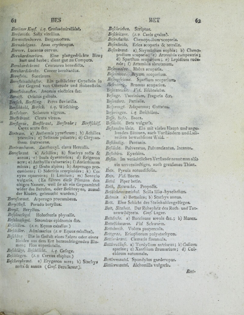 Berliner K6ff. iq. Grofsadmiralfalaf» Beri.cicide. Salix vitcllina. Bcrfnit(teft£>eeren. Bergamotten. BernakeliTans. Anas crythropus. Berner. Lucaniis cervus. Bernhardmerhim. Eine plattgedrikkte Birn; hart und herbe; dient gut zu Compots. Bcrnhardtkiaiit Centaurea bcnedicta. Berultardikrchs. Cancer beriihardus. Bfrnßfin. Succijiuni. Berr.ßehiatabap.i'r. Ein }>t)blicliter Gyp5fi:ein in der Gej;end von Ofterode und Hohenfteiii. Bcvußeinaufter. Anoraia eleftrica &c. Bernlft. Orioius galbula. Berßcfr, Baßlinfr. Pcrca fluviatilis. Berfchkohl, Brrßck. i.q. Wirfching. B. yp.t 'n'cr. Solanum r.igrum. Bcrßfkraut. Cicuta virosa. Berßgras, Ber/lkraut, Beißrohr; Berßßchilf. Carex acuta &c. Bertram, a} Äntliemis pyretfirom ; b) Achiliea pftiriTiica; c) Selinum palustre; d_) Chrysan- thern. frutpscens. Beriranihanm. Zanthoxyl. clava HercuHs. Berujh-aiit. a) AcFiiliea; b) Stachys refta & annua; c) Inula dysenterica; d) Erigeron acre; e) Anthyltis vuhieraria; f) Antirrhiniim minus; g) Draba alpina; Asperugo pro» cumben?; i) Sideritis ?corpioides; k) Co- nyza squano^a; 1) Laniiuin; m) Senecio vulgaris, (Es fübren dicfe Pflanzen den obigen Namen, weil He als ein Gegenmittel wider das Benifen, oder Belclireyen, zuowl. der Kinder, gebraucht wurden.) Berufswant. A-perugo procumbeus. Beyy'.lflnfl. Pseudo beryllus, Beryll Beryllus. Befalinsfegel. Holothuria physalls. Bffahnsfegel. Strombus epidromis &c. Brfch'dlcH. {s.v. Equus caballu--) Befch^Jer. Admissarius {s.v Ecuus caballus). BeßcUarr. Die in Gewalt eines ^'alzes oder eines Mei.lcs aus dem Erz herausdringendeu Blu- men; Flos superficialis, Befchlätie, BefchUicht. i.q. Gefege. Beßhhigen. {s.v. Cervus ehiphus.) Befchreykraut. a) Erygeron acre; b) Stacliya r.eota& annua {Conß. Berufkraut}. Beßchrieben. Scripta?. BrßchuLzrr. {s.v Canis graius). Bcfenflachs- ChenopGJium^coparIa. Befenheide. Erica scoparia & tetralix. Bcfcnkraut. a). Sisymbrhim sophia; b) Cheno»- podium scoparia; c) Artemisia campestrisy d) Sparti^im scopariura; e) Lepidiura ruü«» rale; f) Artemisia abrotanum. Befenmalve.. Malva scoparia. Bfi'fnmaos. Bryum scopariura. Befeiipfüeme. Spartium scopariurq» Bgffv.trefji. Bromus scopariiis. Beßetzteiche. Vid. Fifcliteiche. Bißnge. Vaccinium, fragaria «S;Ci. Beßanders. Partialis. Bcfprengt. Ädspersiis; Gattata&i,, heßpringen. i.q ßefchälen.- Bfß'e, BiyV. Bacca, Bcfikohl. Beta vulgaris. BeßandtnHolz. Ein mit vielen Haupt-und ange* lienden Bäumen, aucli Vorftandern und Lais- reifern bewachfener W'ald. Beßäiidig. Perennis. Beßäi-Mt. Puh-eratus, Pulverulentas, Incanus.. Bißebirn. Eyerbirn. Bpßie. Im veraclnliclienVerfrande nennt man alfo ein unvernünftiges, auch graufames Thier,. Bete. Pyrola rotuudifolia.. Beie. Vid. Ireetes Betel. Fiper betle. Betli, Betwachs, Propolis. Betlilehemsziviehel. Seiila lilio-hyacihthas. Betonis. a) Befonica; b) Stachjrs annua, Bett. Eine Schicht des SteinkohlengeMrges. Bett, Sitzbett. Der Ruheplatz des Roth-und Tan*- nenwildprets. Conß. Lager. Bettdech. a) Buccinura areola&c; b) Marex» Bettelfcliwarm. Vid Schwärm. Bettelwrib. Voluta paupercnla. Bettgras. Eriophorum polystarhyon. Bettierkravt. Clemaris fiammula. Belitcrstlmß. a) Tordyliam antriscu^; b)Galium- aparine; c) Xanthium ftrumarium; d) Col- chicum autumnale. Brttlermantet. Spondylus gaederopus. B'etlkrmantel, Alchemilla vulgaris,. Bett-