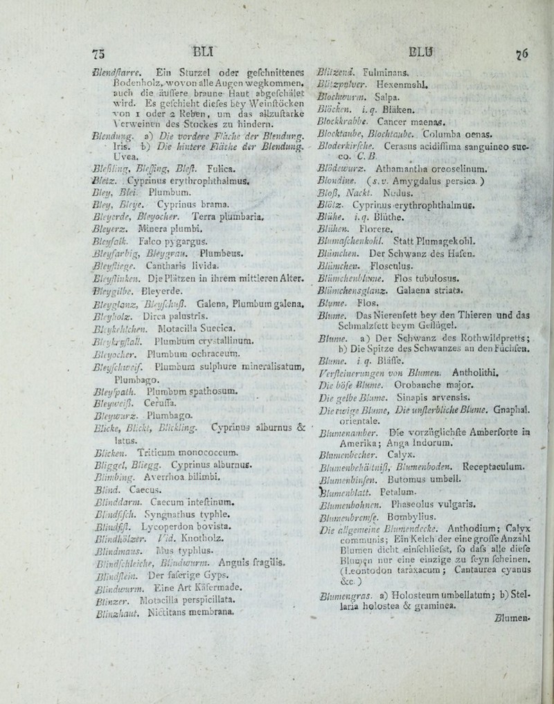 ßtendftarre. Ein Sturzel oder gefchnittenes Bodenhoiz, wovon alle Auf^cn wegkommen, auch die ihifiere braune Haut abgefciiälet wird. Es gelchieht diefes Lty Weinftöcken von I oder 2 Retfen, um das aUzuftarke \'cr\veincn des Stockes zu hindern. Blendung, z) Die vordere F!h:hc der Blendar.g. Iris, t) Dii hintere Fläche dar Blendung, Uvea. Blfßlr.tr^, B!fßi:g, Blefl. Fulica. Bleiz. . Cyprinus erythrophthalmus, Bleij, Blei. Plumbiim. Bley, Etci;e. Cyprinus brnma. Blcycrde, Btcyocber. Terra plumbaria, Bleyerz. Minera plumbi. Blciffcilk. Falco P3 gargus. Bleyfarbig, Bkygran. Piumbeus. Bleyßiege. Cantharis livida. Bliyßir.ken. DjePlätzen in ihrem mittieren Alter. ateygilhc. Bleycrde. Bleyglanz, Bi'-yfd.-ifi. Galena, Plurabum galena. Btnßolz. Dirca palustris. Bl.iihrlikUen. RIotaciila Suecica. BliyhyßaU. Plumbum cry.^tallinura. Bhyocher. Plumbum ochraceum. Bleyfchtrcif. Plumbura sulphure minei-alisatutn, Plumbago. Bley'patli. Plumbum spathosum. Bleyweiß. CerulTa. Bleywiirz. Plumbaga Bli<ket Blickt, Blickling. Cypricuj alhurnus & latus. Blicken. Triticiim monococcuro, Bliggel, Bliegg. Cyprinus alburnu«. Blitiiblng. Avevriioa bilimbi. Blind. Caecus. Blinddarm. Caecura inteftinum. Bllndffdi. Syngnarhus typhle. Bliiidf-fl- Lycoperdon bovista. BUndhölzer. rid. Knotholz. Blindmaus. Trills typhlus. Bündfchleicke, BUndwnrm. Anguis fragtlls. BUndßein. Der faferige Gyps. Elindivurm. Eine Art Käfcrmade. Blinzer. Motacilla perspicillata. BliiLzhaiit. Nictitans membrana. Bliizend. Fulmlnans. BU'.zpnlver. He.xenrashl, Blochwiirin. Salpa. Blöcken, i.q. Bläken. Blockkrabbe. Cancer maenaß. Blocktauhe, Bloclitonbc. Columba oenas. Bloderkirfche. Cerasns acidiniraa sanguineo suc- co. 6' B. Blodcwurz. Athaniantha oreoselinura. Blondine, (j. r. Amygdalus persica. ) Bloß, Nackt. Nl-Jus. Blulz. Cyprinus erythrophthalmus. Blühe, i.q. Bliithe. Blühen. Florerc. Bliiniafcheiikohl. Statt Plumagekolil. Blümchen. Der Schwanz des Hafen. Blümchen. Floscnlus. Blilmchenbltyne. Flos tubulosus. Blihnchensglanz. Galaena striata. Blume. Flos. Blume. Das Nieren fett bey den Thieren und das Sclmialztctt beym GtHügel. Btiinie. a) Der Schwanz des Rothwüdpretts; b) Die Spitze des Schwanzes an den Fuciilen. Blume, i q. ßläfTle. Verßcinrrimgen von Blumen, Antholithi. Die bofe ßlmie. Orobanche major. Die gelbe Blume. Sinapis arvensis. Die nvige Blume, Die uyiflerblicheBlume. Gnaphal. Orientale. Blumenainber. Die vorzi'iglichfte Amberforte m Amerika; Anga Indorum.' Bhimenbccher. Calyx. Bhimeubehäitniß, Blurnenboden. Receptaculura. Bliimenbinfen. Butomus umbeil. ^lumenblalt. Petalum. Blumenbohnen. Phaseolus vulgaris. Bhimenbrcmfe. Bombylius. Die rJIgemeine Bitimrndccke. Anthodium; Cafyx communis; Ein Kelch der einegrofle Anzahl Blumen dicht einfchliefst, fo dafs alle diefe Blumen nur eine einzige za feyn fcheinen. (I.eontodon taräxacum; Cantaurea cyanus &c ) Blnmengrcis. a) Holosteum limbellatumj b) Stel- laria holüstea & gtaminea. 51umea-