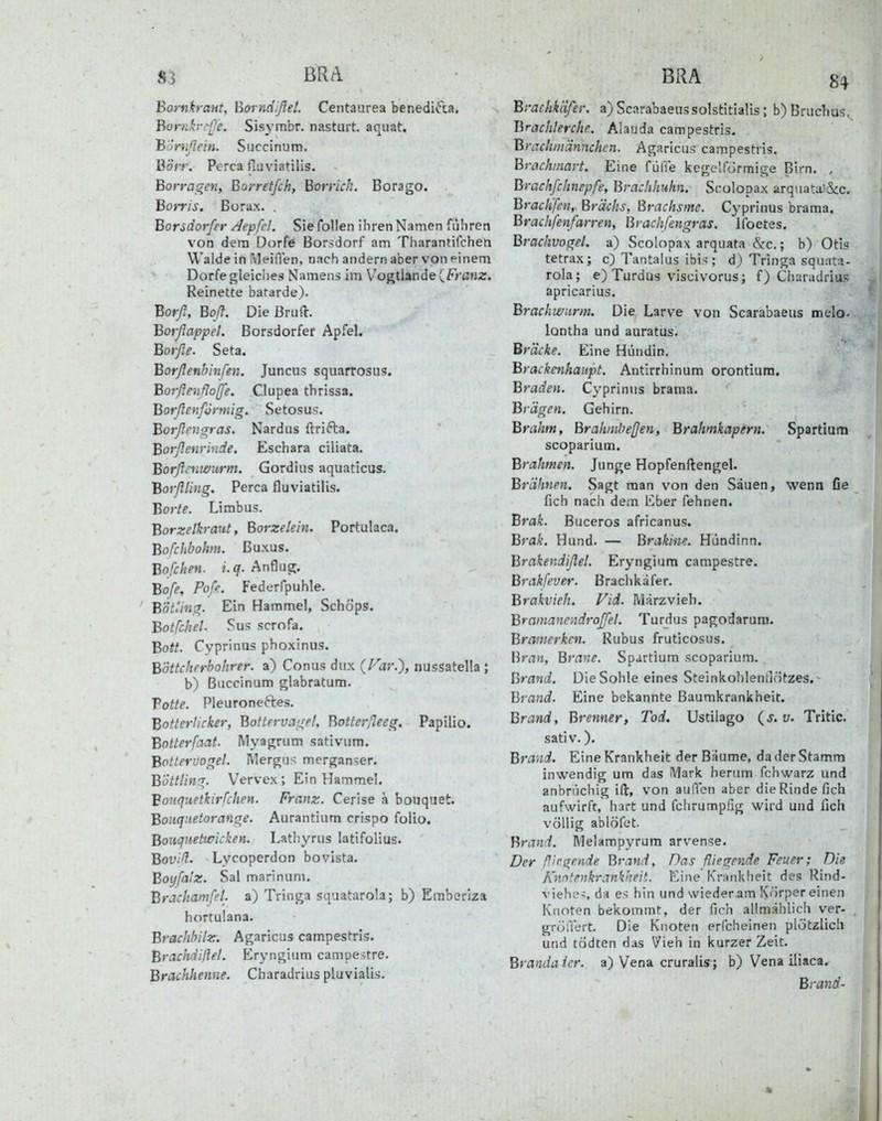 S3 BRA Borniraut, HorndißeL Centaurea benedifta. BornkrrlTe. Sisymbr. nasturt. aquat. Bornflein. Siiccinum. Borr. Perca fluviatilis. Borragen, Barretfeh, Borrich. Borago. Borris. Borax. . Borsdorfer /lepfd. Sie foUen ihren Namen fiiliren von dem Dorfe Borsdorf' am Tharantilchen Walde in Meiflen. nach andern aber von einem Dorfe gleici)es Namens im V'ogtiande {Franz. Reinette batarde). Borfi, Boß. DieBruft. Borflappet. Borsdorfer Apfel. Borfle. Seta. Borßenbinfen. Juncus squarrosus. Borßeußoffe, Clupea thrissa. BorßenfÜrmig. Setosus. Borßeugras. Nardus ftrifta. Borßeurinde. Eschara ciliata. Borßcnwiirm. Gordius aquaticus. Borßling. Perca fluviatiÜs. Borte. Limbus. Borzelh-aut, Borzelein. Portulaca. Bofchbohm. Buxus. Bofchen. i.q. Anflugr. Bofe, Pofe. Federfpuhle. B'öt'.ing. Ein Hammel, Schöps. Botfcbel Sus scrofa. Bott. Cyprinus phoxinus. Böttcltrrhohrer. a) Conus dux {Var.), nussatella ; b) ßiiccinum glabratum. Votte. Pieuronertes. Botterticker, Bottervagel, Botterfleeg. Papilio. Bolterfaat. Mya|Trum sativum. Bottervogel. IMergus merganser. Bottling. Vervex ; Ein Hammel. Bo^iquethrfchen. Franz. Cerise ä bouquet. Bonquetorange. Aurantium crispo folio. Bouqnetwicken. Lathyrus latifolius. Bovill- Lycoperdon bovista. Boijfalz. Sal marinum. BrJcliamfeL a) Triiiga squatarola; b) Emberiza hortulana. Brachhilz. Agaricus campestris. Brachdißet. Eryngium campestre. Brachhenne. Charadrius pluvialis. BRA 84 Brachkäfer. a)Scarabaeussolstitialis; b)Bruchus, Brachlerche. Alauda campestris. Brachniännchen. Agaricus campestris. Brachinavt. Eine fülle kegellormige Birn. . Brachfchnepfe, Brachhuhn. Scolopax arquata)iSic, Brachjeiir Brüchs, ßrachsme. Cyprinus brama. Brachfenfarren, Brachfengras. Ifoetes. Brachvogel, a) Scolopax arquata &c.; b) Oth tetrax; c) Tantalus ibis ; d) Tringa squata- rola; e) Turdus viscivorus; f) Charadrius apricarius, Brackwurm. Die Larve von Scarabaeus melo- iontha und auratus. Bracke. Eine Hündin. Brackenhaiipt. Antirrhinum orontium, Braden. Cyprinus brama. Brägen. Gehirn. Brabm, Brahinheßen, Brahmkapern. Spartiutn scoparium. Brahmen. Junge Hopfenftengel. Brähnen. Sagt man von den Säuen, wenn fie fich nach dem Eber fehnen. Bra^. Buceros africanus. Brak. Hund. — Brakine. Hündinn. Brakendißel. Eryngium campestre. Brakfeuer. Brachkäfer. Brakvieh. Vid. Märzvieh. Bramanendroßel. Turdus pagodarum. Bramerkcn. Kubus fruticosus. Brau, Brane. Spartium scoparium. Brand. Die Sohle eines SteinkohlentlrJtzes.- Brand. Eine bekannte Baumkrankheit. Brand, Brenner, Tod. Ustilago (j. u. Tritic. sativ.). Brand. Eine Krankheit der Bäume, da der Stamm inwendig um das Mark herum fchwarz und anbrüchig ift, von aullcn aber die Rinde fich aufwirft, hart und fchrumpfig wird und fich völlig ablöfet. Brand. Melampyrum arvense. Der ffirgende Br,ind, Das fliegende Feuer; Die Knntenkrankheit. Eine' Krankheit des Rind- viehe-;, da es hin und wieder am Körper einen Knoten bekommt, der fich allmählich ver- gröiVert. Die Knoten erfcheinen plötzlich und tödten das Vieh in kurzer Zeit. Brandaicr. a) Vena cruralis; b) Vena iliaca. Brand-