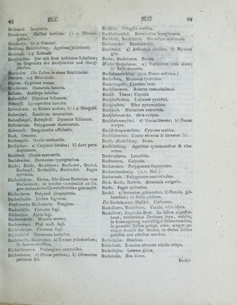 ,3 BUC Briitezeit. Incubatio. Brutheuue. Gallina incubans (j. v. Pliasian. gallus). Bntkrebfe. {s. V. Cancer). Briitling, Briittäubüng. Agaricus^deliciosus. Briitmaß. i.q. Erdmaft. Brutfcheibtii. Die mit Brut befetzten Scheiben; Im Gegenfdtz der Bro'djcheiien und Hoiiig- fciieioen. Brutzcilen. Die Zellen in einer Brutfeheibe. Bru{zfn. i.q. Milchdrüfe. Briltm. Cyprinus brama. Bjtulikraut. Osmunda lunaria. Bu!>alus. Antilope bubalus. Bubiiichftel. Dipsacus fullonum. Bubtiifiß. LycoperdoD bovista, Buhenkrav.t. a) Rumex acutus; b) i.q. Mangold. Biibeiilättj'e. Xanthiura strumarium. Bubenßengel, Bubenßr'dl. Dipsacus fullonum. Bubenwinde. Polygonum dumetorum. Biibernei'le. Sanguisorba officinalis. Buch. Omasus. Bnchampfer. Oxalis acetosella. Buchiifcher. a) Carpinus betulus; b) Acer pseu- doplatanus. Buchbrod. Oxalis acetosella. BitcJidruckfr. Derroestes typographus. Buche; B'Lhe, Buclihamfi; Buchecker, Buche!, Bu:hma!i, Bi'.chniißle, Bucheichel. Fagus sylvatica, Büchenblätter. Kleine, fehr dünne Brettchen von BiicHenholz; üe werden vornamlich zu De- gen- und anderen Gewehrfcheiden gebraucht. Bilche'.ifarm. Polypod. phegopteris. Buchenfechte. Liehen figineus. Vtrfleinertes Bs'ichenbolz. Phegites. Buchenk'dfer. Curcu'.io fagi. Biichenlans. Aphi? fagi. Bilchenmarder. Miistela marte-. Buchenraupe. Phal nocl. fac;i. B'.icltP>'fafi!Ter. Chermes fagi Bilcherfei-li. D&rmestes lard;iri'is. Bikhrrmlthe, B'ikherlaus. a) Termes pulsatoriura ; b) Acarus eruditus. Biicher^knrpiou. Phalangium cancroides. Büchrnmrm. a) Pcinus pertinax; b) Dermestcs paniccus &c. BUC 94 Bitclißiik. Frmgina caelebs,' Buchhahnenfuß. Ranuncnlns lanuglnosus. Biichkohl, BiicMattich. Hieraciuai murorum. Buchmarder. Baummarder. Buchmans. a) Arftomys citellus; b) IMyoxus glis. BuchsBiichshivtnu Buxus. Wilder Buchshamn. a) Vaccinium'vitis idaea; b) Salis arenaria. Bucksbauni'erbfsiu {s.v. Pisum sativum.) Buchsdorn. Rhamnus lycioides. Buchsfanger. Chermes buxi. Buchfchwanini. Boletus ramosissimus. Büchfe. Theca; Capsula. Büchfenßechten. Lichenes pyxidati. Brichfeußein. Silex pyromachus. Biichfpick. Hieracium murorum. Bnchßabenarche. Area scripta. Biichßabcnmiifclal. p) Venus literata; b) Donax scripta. BiichflcbenporzfliMie. Cypraea arabica. B-.iclißübentutc. Conus ebraens & literatus (Ji). Bucht, Aiish'öh'.v.nq. Sinus. Buchfäubling. Agaricus cyanoxanthus & vire- scens. Biichtnifamu Lonchitis. Biichtwnrm. Colpoda. B:ichweizeM. Polygonum fagopyrum. B.ch:ceizenhoni:T. (s.v. Mel.) Buchtrinde. Polygonum convolvulus. Blick, Bücke, Bnckrln. Artemisia vulgär!«:. Bücke. Fagus sylvatica. Buckrl. a) Strombus gibberulu«;; b) Buccin. gib- bosulum; c) Bulla ii,ibbosa. Die Buckeln einer Mufchel. Umbones. Buckclbeere,'B'HckcbeFre. Vaccin. vitis idaca. Buckel!7rut; Kappichte B>-ut. Es foHea abgeftor- bene, verdorbene Drohnen feyn, welche, in Ermangelung vorräthiger Drohiienzellen, in gemeine Zellen gelegt, oder, wegen ge- ringer Anzahl der Hieneo. in diefen Zellen gelaiTeo und erhöhet werden. Bi'.cke^kiii'er. Bruch us. Biickdkohl. Brassica oleracea viridis crispa. Biukeilinfen. Lemma gibba. Bitckelochs. Boi bison. Biicke!-