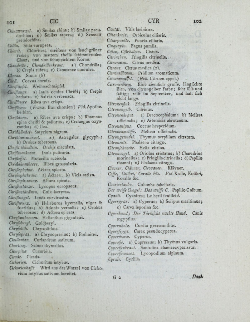 Chinawurzel, a) Stnilax cliina; b) Smilax pseu- docliina; c) Smilax asperaj d) Senecio pseudüchina. Chl'dy^. Sitta europaea, Cblorit. Chlofites; meiftcns von laucligriiner Farbe; von martern theils fchimmernden Glanz, und von fchuppichtetn Korne. ChondriUe, Chonär:l!ei:kraut. a) Chondrilla; b) Crcpis rubra; c) Catanance coerulea. Choras. SiiTiia (h). Chr'i. Corvus cornix- C':i :\ifftl. Weihnachtsäpfcl. Ckrißav.^e. a) liiula oculus Chrlfti; b) Crepis barbata: c) Salvia verbenaca. Chrißbeire Ribes uva crispa, Ott-ijU hii (F/ flf.x. Bon chretien) r/i.Apothe- keibirn. ChripJurn. a) Ribes uva crispa; b) Rliamnus Spina clirifti & paliurus; cj Crataegus oxya- cantha; d) Hex. Chrlßh'dndtl- Salyrium nigrum. ChrißianiW.'rzH. ») Astragalu3 glycyph.; b) Orobus tuberosus. Cftrifü Hiindlcin. Orchjs maculata. Chnßimnkraut. Intila pulicaria. Chrißofel. Motacilla rubicola. Oir'ißohrmbcere. Ribes groisularia. ütrißopkskut. Actaea spicata. Chrißopkskravt. a) Actaea; b) VIcia sativa. Chrißophitaurz- Aftaca spicata. Chrifristanze. Lycopus europaeus. Clirißiisthräncn. Coix lacryma. Chrißvogel. Loxta curvirostra. Chrißwurz. a) H-Heboriis byemalis, tiiger & foetidus; b) Adonis vernalis; c) Orobus tuberosus; d) Attaea spicata. Chryfanthcmnm. Helianthus giganteuä. Oiryfobnyl. Goldberyl. Oiryfolith. Chrysolithus. Clinjfopras. a) Chrysoprasius; b) Prehnites. Chullantar. Coriandrum .sativum. Chnrlin^. Salmo tbymaüus. Churpiza. CuciirbiM. Cicade. Cicada. Cchorien. Ciclioriiim intybus. Ciclwriej:k if e. Wird aus der Wurzel von Cicho- rium intybus sativum bereitet. CYR - loz Cicutat. Vitls lacinlosa. Ciiiarkrcis. Orbiculus ciliaris, Cdiarpuncte. Puncla ciliaria, Cinquapin. Fagus pumila. Cißen, CißrÖslfin. Cistus. Citrlncheii. Fringilla citrinella, Citronaten. Citrus medica. Citrone. Citrus medica (2). Citronellbaum. Psidium aromatlcum, Citronenapfrl. {Holl. Cirroen appel.) Citronen'nrti. Eine ziemlich große, längdchte Bim, von citrongelber Farbe; fehr fiiis und fattig; reift im September, und hält fich nicht lange. Citronerifink. Fringilla citrinella. Citronengclb. Citrinus. Citronenkraut. a) Dracocephalum; b) Meliss« ofFicinalis ; c) Artemisia abrotanum. Citronenlaus. Coccus hesperidum. Cih-onenmeliße. Melissa officinalis. Cilrongrundtl. Thymus serpillum citratum, Citronev.le. Phalaena citrago. Citronfchnecke. Helix citrina. Citronvogel. a) Üriolus cristatus; b) Charadrius morinellus ; c) Fringilla citrinella; d)Papilio rhamni; e) I halaena citrago. Clcvner, Cldvncr, Cleovanet: Klävner. Coß'e, ■ Colibfi, Coralle &c. Vid. KofFe, Kolibri, Koralle &c. Coiiriertaube. Columba tabellaria. Der wcijj'e Cvogel; Das weijße C. PapliioCalbum. Cyanit. Cyanites; Le beril feuillete'. Cypergras, a) Cyperus; b.) Scirpus maritiraus; c) Carex leporina &c. Cypn-hnnd; Der Türkifche nackte Hund, Canis segyptius. Cyp>'niholz. Cordia gerascanthus. Cyperjegge. Carex pseudocyperus. Cyperwurz. Cyperus. Cyprejje. a) Cupressus; b) Thymus vulgaris. Cyprcffeiikraut. Santolina chamaecyparissus. Cyprrffeurnoos. f-ycopodium alpinura. Cyrille. Cyrilla, G 3 Daal^