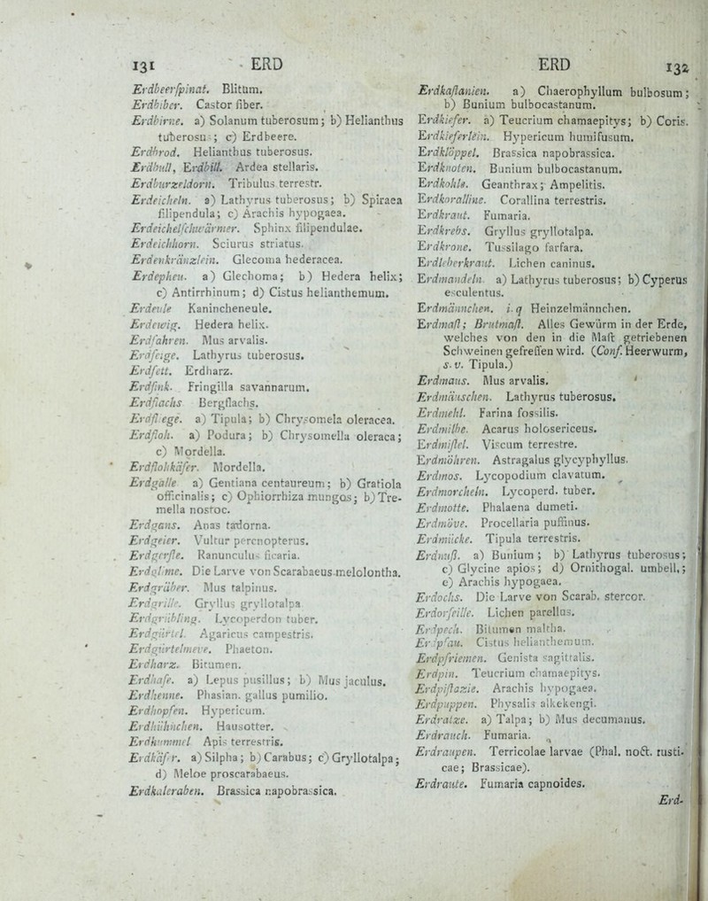 Erdbeevfpinat. Blitüm. Erdhibcr. Castor fiber. Erdbirne, a) Solanum tuberosum; b) Helianthus tuterosu-; c) Erdbeere. Erdbrod. Helianthus tuberosus. Erdbull, Erdbill. Ardea stellaris. Erdburzrläorn. Tribulus terrestr. Erdeicheln, a) Lathyrus tuberosus; b) Spiraea filipendula; c; Ärachis hypogaea. Erdeichelfchifärmer. Sphinx fiiipendulae. Erdeichhorn. Sciurus striatus. Erdevkränzlrin. Glecoma hederacea. Erdephcu. a) Glechoma; b) Hedera helix; c) Antirrhinum; d) Cistus helianthemum. Erdevle Kanincheneule. Erdcte/ifT. Hedera helix. Erdfahren. Mus arvalis. Ercifeige, Lathyrus tuberosus. Erdfett. Erdliarz. Erdßnk. Fringilla savannarum. Erdßachs Bergtlaclis. Erdfl ege. a) Tipula; b) Chry^omela oleracea. Erdßoh. a) Podura; b) Chrysomellu oleraca; c) Mordella. Erdflohkäfer. I\lordella. Erdgalle a) Gentiana centaureum; b) Gratiola ofificinalis; c) Üphiorrhiza mungos; b)Tre- mella nosroc. Erdgans. Anas tardorna. Erdgeier. Vultur pr-rcnopterus. Erdgcrße. Ranunculu- ficaria. Erdalime. Die Larve von Scarabaeus melolontha. Erdgräber. Mus talpinus. Erdgrilh'. Grs'ilus grylloralpa Erdgriihling. Lycoperdon tuber. Erdgiirlil. Agaricus campestris. Erdgnrtelmeve. Phaeton. Erdharz. Bitumen. Erdhafe. a) Lepus pusillus ; b) Mus jaculus. Erdhenne. Phasian. gallus pumilio. Erdhopfen. Hypericum. Erdliiihnchen. Hausotter. Erdhummel Apis terresrris. Erdkäfr. a)SiIpha; b)Carabus; c) Gryllotalpa; d) Meine proscarabaeus. Erdkaieraben. Brassica napobrassica. Erdkaßanien. a) Chaerophyllum bulbosum; b) ßunium bulbocastanum. Erdkiefer, a) Teucrium chamaepitys; b) Coris. Erdkieferlein. Hypericum huuiifusum. Erdklöppel. Brassica napobrassica. Erdknoten. Banium bulbocastanum. Erdkohlg. Geanthrax; Ampelitis. Erdkoralhne. Corallina terrestris. Erdkrant. Fumaria. Erdkrebs. Gryllus gryllotalpa. Erdkrone. Tussilago farfara. Erdlrbcrkrant. Liehen caninus. Erdmandeln, a) Lathyrus tuberosus; b) Cyperu.«; esculentus. Erdinännchen, i.q Heinzelmännchen. Erdmaß; Brutmaß. Alles Gewürm in der Erde, welches von den in die Mail getriebenen Scliweineii gefreffen wird. (JJonf. Heerwurm, s-v. Tipula.) Erdmans. Mus arvalis. ' Erdmäuschen. Lathyrus tuberosus. Erdniehl. Farina fossilis. Erdmilbe. Acarus holosericeus. Erdmißel. Vi'^cum terrestre. Erdmöhren. Astragalus glycyphyllus. Erdinos. Lycopodium clavatum. Erdmorcheln, Lycoperd. tuber. Erdmotte. Phalaena dumeti. Erdmöve. Procellaria puffinus. Erdmilcke. Tipula terrestris. Erdnuß, a) Bunium ; b) Lathyrus tuberosus; c) Glycine apios; d) Ornithogal. umbell,; e) Arachis hypogaea, Erdochs. Die Larve von Scarab. stercor. Erdorfeille. Liehen parellus. Erdpech. Bilumsn maltha. Er ip^au. Cistus helianthemum. Erdpfriemen. Genista «agitralls. Erdpin. Teucrium chamaepit3'S. Erdpißazie. Arachis hypogaea. Erdpuppen. Physali? alitekengi. Erdratze, a) Talpa; b) Mus decumanus, Erdrauch. Fumaria. ^ Erdraupen. Terricolae larvae (Phal. noft. rusti- cae; Brassicae). Erdraute. Fumaria capnoides. Erd'