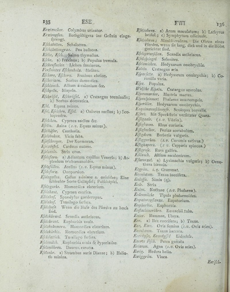 Erzianchcr. Colyrnbus urlnator. Erztfopfen. Kodigliltigerz ins Geflein elnge. Iprengc. Efcha'.otten. Schalotten. Efchalottcngras. Poa bulbosa. Efche, £/t7/.,;.,-3jalmo th^M-nallus. ^fche. a) Fräitinus; b) Populus tremula. Efchenfledite.' Liehen fraxhieus. Vtifieintes Efchenholz. l\lelites. Efiliere, •Efchcru. Fraxinus elatior. EfcUcfizeti. Sorbus domestica. Efclilaucli. Alliiim a-:caIonium &c. Efchpeln, Mispeln. Efchröfel, Efchruffel. a) Crataegus torminalisj b) Sorbus domestica. Equns asinus. Eß/, Efrichni, Ejjel. a) Oniscus aselliis; b; Sco- lopendra. Effkhen. Cypraea asellus &c. Efrliii. Asina (s.v. Equus asinus). Efelkäfer. Cantharis. EJilsboline. Vicia faba. Efeifchreyer. Der Kormoran. Efe sdiflet. Carduus nutans. Ej'elseulc. Strix otus. Efe/sfarn. a) Adianiura capillus Veneris; b) As- plenium tr'chorrjanoidcs. Efflsji'dleii. Asellus (j. i;. Equus asinus). Efehfjivz. Onopordon. EfelsgnUas. Gallae asininae s. oricidae; Eine fchlechte Sorte Galläpfel; Puilcliäplel. Efelsgurke. RIomordica elateriutn. Efrlshaut. Cypraea caurica. Efi'lsbnf. Spondykis jj,acdcropu!i. Efe'ishv.f. Tussilago farfara. EfeLshiife Wenn die Hufe des Pferdes zu hoch find. EfelskÖrwet. Scandix anthriscus. Efelskraiit. Euphorbia esula. Efelskubtnicrn. Momordica elaterium. Efelskürhis. Momordica elateriura. Efil^ihilitch. T'u-sildfTO farfsra. Efilsniilck. Euphorbia esula & cyparissias. Eftlsniohren. Daucus. carotla. Ejetsohr. a) Strombus auris Dianae; b) Halio- tis asinina. FVVI ^36 Efcisohren. a) Arum maculatum; b) Lathvrus latifol.; c) Sympbytura ofhcinale. Efe/sohren; MmiUlvevoliren. Die Ohren eines Pferdes, wenn üc lang, dick und in die Höhe gerichtet lind. EffLspeterfilicn. Scandix anthriscus. EjcLfpiegel. Selenites. Efe/swicken. Hedysarum onobrychls. Eslcin Crataegus aria, Ejpnrfette, a) Hedysarum onobrychis; b) Co- ronilla varia. Efpe. Populus. If^elfche Ejpeln. Crataegus azarolus. Efpainiai-der. Mustela marres.. Efpenfpinner: Phalaena anastompsis. Efpcrklee. Hed3'saruni onobrychis. Esq:dmauxfchnepfe. Scolopax borealis. Elih-t. Mit Speckflrein verfetzter Quarz. Eß'tgaale. {s v. Vibrio). Eßighanm. Rhus coriaria. EßlgbediPr. Peziza acetabulum. EJßgdorn. Berberis vulgaris. Eßggitrken. (j.y. Cucumis sativus.) EßgRapern. (J Capparis spinosa.) Eßfgrofe. Rosa gallica. Eßlamh. Allium ascalonicum. Efiwurzel. a) Lysimachia vulgaris; b) Oeno- thera biennis. Etgrön. i. q. Grummet. Ei:enbaum. Taxus baccifera. Eulciße. Simia (q). Eule. Strix Eulen. No^hiae {s.v. Phalaena). Eiilenmncke Tipula phalaenoides. Evpatoyspßanzc. Eupatorium. Eiiphofbic. Euphorbia. Eiißachhisrohre. Eustachü tuba. Enter. Mammae, IJbera. Eve. a) Hex coccifera; b) Taxus. Evc, En},\ Ovis femina (s.v. Ovis arles). Evmbai\m. Taxus baccata, Evardijfje, Evcvdijjpl Eidechfe. EvcHs Fijch. Pefca guttata Eviamm.. Agna Ovis aries). Ewig. Hedera helix. Ewlggrün. Vinca. Ewlfch'