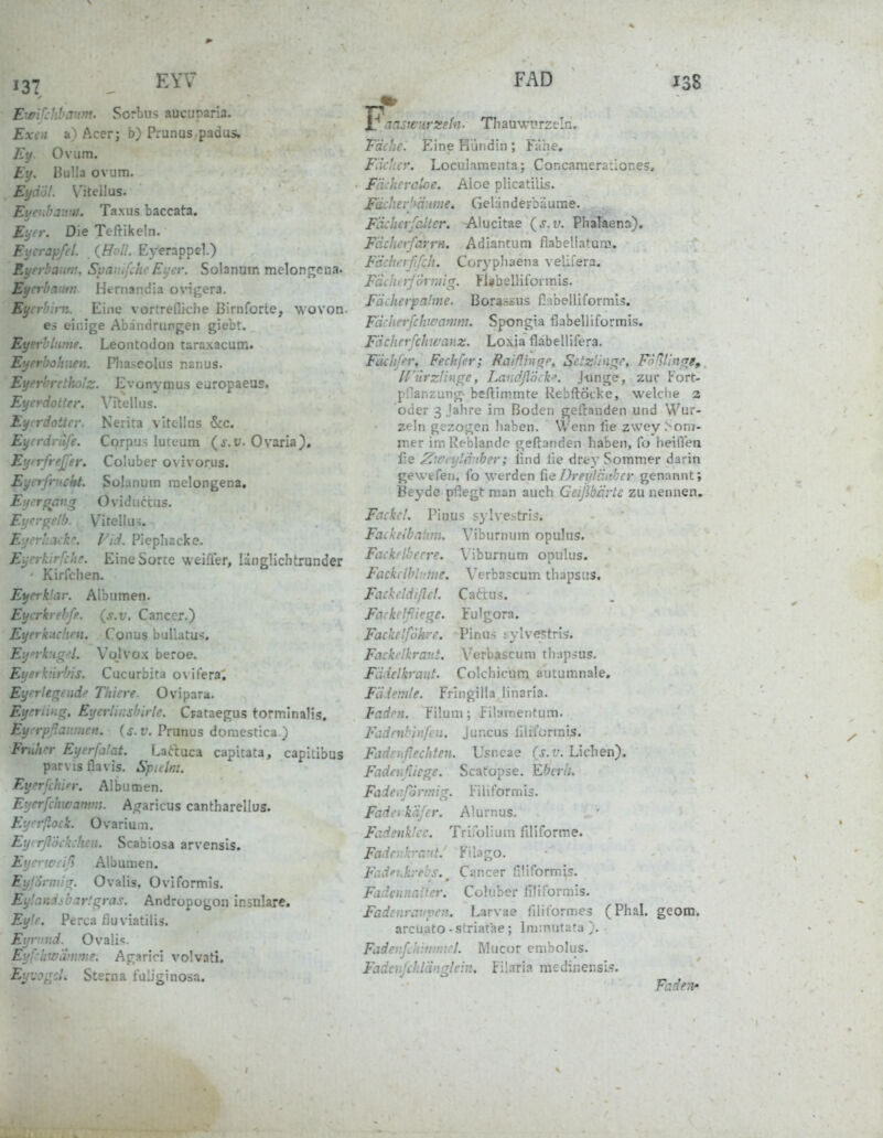 137 - Ewifchbanm. Sortus aucuparia. Exen a) Acer; b) Prunus padus. Ey. Ovum. Ey. Bulla ovum. Eydöt. V'itelius. Eytnbaum. Taxus baccata. Eyer. Die Teftikeln. Eycrapftl. (Hoii. Eyerappel.) Eyrrbautn, SpavjfJicEyer. Solanum melon£;cna. Eyerbaum Hernandia ovi};era. Eycrbirn. Eine vortrefliche Birnforte, wovon- es einige Abdndrungen giebr. Eyerblume. Leontodon taraxacum. Eijerbohnen. Phaseolus nsnus. Eyerbretholz. Evoaymus europaeus. Eycrdotter. Vitellus. Eycräottcr. Nerita vitellus &c. Eyerdrilfe. Corpus luteum Ovaria), Eyirfre£er. Coluber ovivorus. Eyerfrnckt. Solanum raelongena. Eyerganq Ovidu<^i:us. Eyrrgclb. Vitellus. Eycr':{ick'\ FiJ. Piephacke. Eyerkirfdie. Eine Sorte weifler, langlichtrunder • Kirfchen. Eyerklai: Albumen. Eycrkrebff. {s.v. Cancer.) Eyerkiicitrn. Conus buUatus. Eyrhigd. Vojvox beroe. Eyerknrbis. Cucurbita ovifera; Eyrle^endi' Tliiere. Ovipara. Eyerling, Eyerlinsbirle. Crataegus tormlnalis. Eyrrpßaumen. (j. y, Prunus doraestica.) Fniher Eyerfatat. Laftuca capitata, capitibus parvisflavis. Spidni. Eyerfchifi: Albumen. Eyerfchwamm. A^jxaricus cantharellus. Eycrßock. Ovarium. Eyirßockchen. Scabiosa arvensis. Eycvwiiß Albumen. Eyßi-wirr. Ovalis, Oviformis. Eylandibartgras. Andropogon insulare. Eyle. Perca fluviatilis. Eyrnnd. Ovali^. Eyfcbw'dniwe. Ac;arici volvati, Euvo'^rd. Sterna fuliginosa. FAD 138 aaswHt'Xehi. Thauwiirzeln. Fache. Eine Kundin ; Fithe, Fiiclicr. Loculamenta; Concamerationes, Fächeraloe. Aloe plicatilis. Fächevhänme. Geländerbäurae. F'dchcvfaiter. Alucitae {s.v. PhaTaena). Fdclm-farrn. Adiantum flabellatura. Fachn flfch. Coryphaena velifera. Fdi liL yjÖrniig. Fl»b ellifoimis. Fächerpalme. Borassus fi-.ibelliformls. Fächerfchwaww. Spongia flabelliformis. Fächrrfchwanz. Loxia flabellifera. Fächfer, Fechfer; Raiflingp, Setzlinge, Fo Glinge,. irürzlingc, Landßöck. Junge, zur Fort- pilanzung- beftimmte RebftÖcke, welciie a oder 3 Jahre im Boden gefranden und Wur- zeln gezogen haben. Wenn lie zwey >on7- mer im Reblandc geftonden haben, fo heÜTen f;e Zwcytärtbev; lind lie drey Sommer darin gewefen, fo werden da Dreyläitbcr genannt; Beyde pflegt man auch GeißbÜrte zu nennen. Fackel. Pious sylvestris. Fackeibaiim. Viburnum opulus. Fackflherre. Viburnum opulus. Fackclbl';fiie. Vcrbascum thapsus. Fackcldißet. Cadus. Fackclßiege. Fulgora. Fackf'führe. Pinns tylvej;tris'. Fackrlkrant. Verbascum thap^us. Fädelkraut. Colchicum, autumnale. Fä.ienile. Fringilla linaria. Faden. Füuni; Filamentum. Fadnib}»fc->i. jui-icus filiforrais. Fcidotflechten. Usncae {s.v. Liehen). FadeVifiiege. Scatopse. Ebcrh. Fadenförmig. Filiformis. Fadeikäjcr. Alurnus. Fadenklcc. Trifolium filiforme. Fadevikraut.' Filago. Füd^hkre'cs. ^ Cancer finformis. Fadennaiter. Coluber liüformis. Fadcnrauven. Larvae filiformes (Phal. geom. arcuato-striatae; Immutata }. FadeufdiitiiriU-l. Mucor embolus. Fadeiikhlänglciii. Füaria medinensl.?.