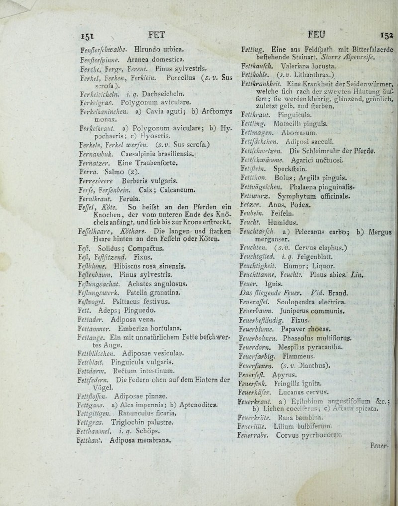 151 FET Yenflerjchwalbe. Hirundo urbica. fefißerfpimie. Aranea domestica. Yerche, Yerß, Yerent. Pinus sylvestris. Jerket, Yerken, Yerklein. Porcellus {s, v. Sus scrola ). Yerkeleicheln. i. q. Dachseicheln. Yerhigras. Polygonum avicuhire. Yerkelkaninchen. a) Cavia aguti; b) Arftomys monax. Yerkc!kra:i.t. a) Polygonum aviculare; b) Uy. poohaeris; c) f-'yoseris. ferkeln, Yerkel werfen, (j. r. Sus scrofa.) Yernambnk. Cae'-alpinia brasiliensis. fertiatzer. Eine Traubenforte. Terra. Salmo (z). Yerresheere Berberis vulgaris. Yerfe, Yerfenbein. Caix; Calcaneum. Yernlkraut. Ferula. Yejfel, Kote. So heifst an den Pferden ein Knochen, der vom unteren Ende des Knö- chels anfängt, und üch bis zur Krone erfVreckt. Yejfelhaare, K'öthare. Die langen und Harken Haare hinten an den Feffeln oder Koten. Yeß. Solidus; Compaftus. Yefl, Yeßßtzend. Fixus. Yrßblime, Hibiscus rosa sinensis. Yeßenbaitm, Pinus sylvestris. Ycßungsachat. Achates angulosus. Ycßimgswerk. Patella granatina. Yeflvogrl. Psittacus festivus. Yett. Adeps; Pinguedo. Yettader. Adiposa vena. Yettammer. Emberiza hortulana. Yettauge. Ein mit unnatürlichem Fette befchwer- tes Äuge. Yettbliischen. Adiposae vesicula?. Yettblatt. Pinguicula vulgaris. Yettdartu. Feftum intestinum, Yettfedcrn. Die Federn oben auf dem Hintern der Vögel. Yettßoßhi. Adipo?ae pinnae. Yettgans. a) Alca impennis; b) Aptenodites. Yettgitfgen. Ranuncuius ficaria. Yettgras. Triglocliin palustre. Yettha;ivnel. i. cj. Schöps. Yptbaut. Adiposa meiBbrana. FEU 15a Yetting. Eine aus Feldfpath mit Bitterfalzerde beftehende Steinart. Storrs /^Ipenretß. Yettkanfch. Valeriana lorusta. YetLkoltle. {s.v. Lithanthrax.) Yettkrankheit. Eine Krankheit der Seidenw'ürmer, welche fich nach der zweyten Häutung äuC- fert; fie werden klebrig, glänzend, grünlich, zuletzt gelb, und Iterben. Yettkraut. Pinguicula. Yettüng. Motacilla pingnis. Yfttmagen. Aboraa:-um. YettfUckchen. Adiposi sacculi. Yettfi-hn:>'lzen. Die Schleimruhr der Pferde. Yettfchwirume. Agarici unftuosi. Yet.ßein. Speckltein. YetUhon. Bolus; Argilla pinguis. Yettvögelclien. Phalaena pinguinalis- Yetiwiirz. Symphytum officinale. Yetzer. Anus, Podex. Yenbein. Feifeln. Yeucht. Humidus. Yeuchtarfch a) Pelecanus carVoj b) Mergus mergan?er. feuchten, (s.v. Cervus elaphus.) Yeuchtglied. i. q. Feigenblatt. feitcUtigkeit. Humor; Liquor. fenchttanne, feuchte. Pinus abies. Lhi, fetter. Ignis. Das fliegende Feuer. Fid. Brand. feueraßel. Scolopendra electrica. feutrhanm. Juniperus communis. fenerbeß'ändig. Fixus. feuerblitme. Papaver rhoeas. feuerbohnen. Phaseolus muhiflofus. feuerdorn. Mespilus pyracantha. Yenerfarbig. Flamraeus. Yeuerfaxen. {s. v. Dianthus). Yenerfeft. Apyriis. Yeneißrik. Fringilla ignita. Yeuerkäfcr. Lucanus cervus. fenerkrant. a) Epüobium angustifolium &c.: b) Liehen cocciiVriis i c) A'^aca ?picacu. fenerkröte. Rana bombiiia, fe.ei-HUe. Lilium bulbiferum- feuerrabe. Corvus pyrrhocorn-'' feue^-