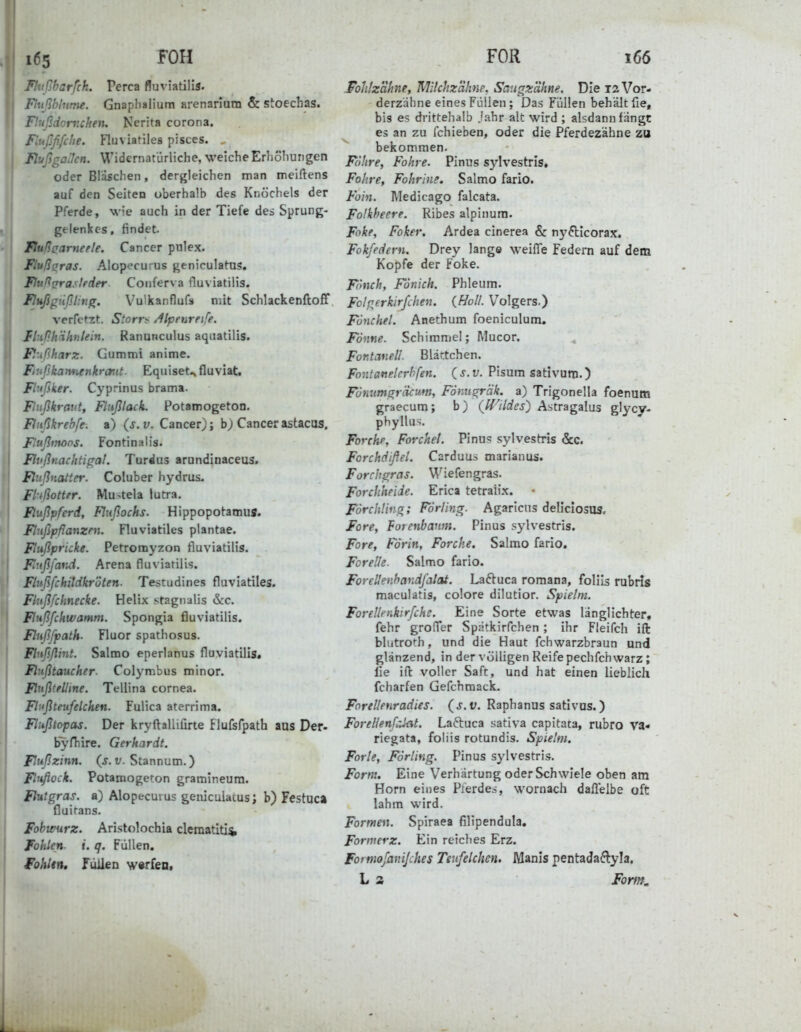 i65 FOH Flußbarfck. Perca fluviatills. Eußhhime. Gnaphalium arenarium & slioechas. Flußdcnichen. Nerita corona. Flußßfclie. Fluviatiles pisccs. Flußgallcn. Widernatürliche, weiche Erhöliungen oder Bläschen, dergleichen man meiftens auf den Seiten oberhalb des Knöchels der Pferde, wie auch in der Tiefe des Sprung- gelenkes, findet. Fluflcarneele. Cancer pulex. Flußqras. Aloperurus geniculatas. Flu^rrraslfder Coiiferva fluviatilis. Euflgußting, Vulkanflufä mit SchlackenftofF verfcttt. Storr^ Alpenreife. Jlußh'ihnlein. Ranunculus aquatilis. Ftußharz. Gummi anime. Fiußkannenkrcnit- Equiset^ fluviat, Ftußker. Cyprinus brama. Flußkraut, Eußlack. Potamogeton. Enßkrebfe. a) {s.v. Cancer); b; Cancer astacos. Flußtnons. Fontinalis. Fltßnachtifral. Turnus arandinaceus. Flußnatter. Coluber hydrus. Fhßotter. Mu^tela lutra. Flußpferd, Flußochs. Hippopotamuj. Flnßpflanzen. Fluviatiles plantae. Flußpyicke. Petromyzon fluviatilis. Fiiißfarui. Arena fluviatilis. Ftußfchildkr'oten- Testudines fluviatiles. Fkißfchneche. Helix stagnalis &c. Flußfckwamm. Spongia fluviatilis. Flnßfpath. Fluor spathosus. Flnßßint. Salmo eperlanus fluviatilis. Flitßtaucher- Colymbus minor. FlußteUme. Tellina cornea. Fl'ßteufelchen. Fulica aterrima. Flitßtopas. Der kryftalliürte flufsfpath aus Der. byfhire. Gerhardt. Flußxinn. (j. v. Stannum.) Fliifiock. Potamogeton gramineura. Flutgras, a) Alopecurus genicuiatus; b) Festuca Guirans. Fobwurz. Aristolochia clematitii Fohlen, i. q. Füllen. Wohltn. füllen werfen. FOR 166 Fohlz'dhne, WlUchz'dhne. Saugzähne. Die 12Vor- derzähne eines Füllen; Das Füllen behält fie, bis es drittehalb Jahr alt wird ; alsdann fängt es an zu fchieben, oder die Pferdezähne zu bekommen. Fohre, Fohre. Pinus sylvestris, Fohre, Fohrim. Salmo fario. Fohl. Medicago falcata. Folkheere. Ribes alpinum. Foke, Foker. Ardea cinerea & nyfbicorax. Fokfedern. Drey lange weifle Federn auf dem Kopfe der Foke. Fönch, F'onich. Phleum. Folgerkirfdien, {floll. Volgers.) Fünchel. Anethum foeniculum. Fönne. Schimmel; Mucor. ^ FontaneH. Blärtchen. Fontanelerhfen. Qs.v. Pisum sativuni.) Fömmgräcum, Fdnugräk. a) Trigonella foenum graecum ; b) (ß^ildes') Astragalus glycv- phyllus. Forche, Forchel. Pinus sylvestris öcc. Forchdißel. Carduus marianus. Forchgras. Wiefengras. Forchheide. Erica tetraiix. Fdrchling; Förling. Agaricns deliciosus. Fore, Fat enbanm. Pinus sylvestris. Fore, Förin, Forcke. Salmo fario. Forelle. Salmo fario. ForeUenhandJalat. Laftuca romana, folüs rubris maculatis, colore dilutior. Spielm. Forellenkirfche. Eine Sorte etwas länglichter, fehr grofTer Spätkirfchen ; ihr Fleifch ifl: blutroth, und die Haut fchwarzbraun und glänzend, in der völligen Reife pechfchwarz; lie ifl: voller Saft, und hat einen lieblich fcharfen Gefchmack. Forellenradies. (s.v. Raphanus sativus. ) Forellenfc^-at. Laftuca sativa capitata, rubre Va* riegata, fohis rotundis. Spielm. Forle, Forting. Pinus sylvestris. Form. Eine Verhärtung oder Schwiele oben am Horn eines Pferdes, wornach dafl'elbe oft lahm wird. Formen. Spiraea filipendula. Formerz. Ein reiches Erz. Formofanijches Tsufelchen. Manls pentadaftyla, L 2 Fom.