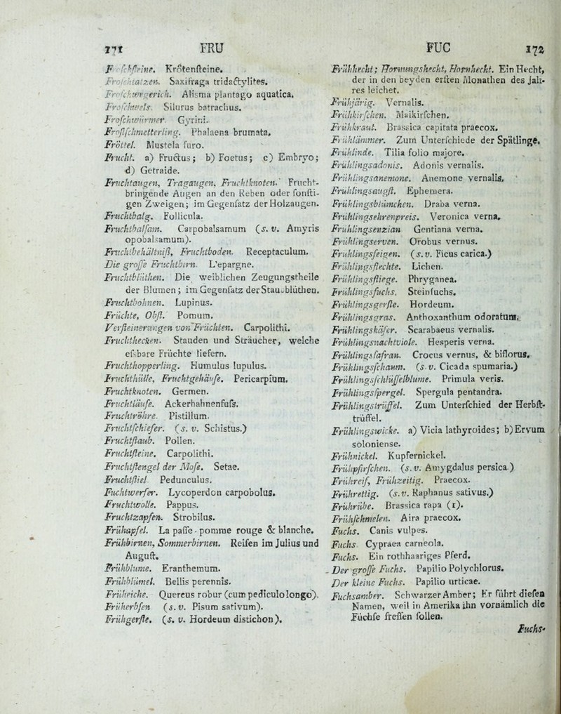 17t FRU F'fchflnnc, Krotenfteine. Frofo-itatzen. Saxifraga trida6ly^^es. Frnfckwp^erick. Alisma piantacro squatica. Frofrhwp's. Silurus batrachus. Frofchw'ürtner. Gyrini. Frr'fifdmietterlir.g. Phalaena brumata, Fröttel. Mustela furo. Frucht, a) Fruclus; b) Foetus; c) Embryo^ d) Gefraide. Frnchtmgm, lyasr^augat, Fruchtknoten.' Frucht- bringende Augen an den Keben oder fonllU gen Zweigen; imüegenfatz der Holzaugen. Fnuhtbalg. Follicula. Frnckthalfam. Carpobalsamum (j. v. Amyris opobalsamum). FntchibekäJtniß, Friicktboden. Receptaculum. Die große Frv.chlbim. L'epargne. Fnichtblllthen. Die weiblichen Zeugungstheile der Blumen; imGegenfatz derStauobliitlieo. Ffftchtbohnen. Lupinus. Früchte, Obfl. Pomum. Vcrfieineningen von'Früchten. Carpolithi. FnicUthedten. Stauden und Stxäucher, welche ef-bare Früchte HeFcrn. Fruchthopperling. Kumulus lupulus. FräththilUe, Friichtgehänfe. Pericarplum. Fruchtknoten. Germen. Fruchtiäufe, Ackerhahnenfufs. Fruchtrölire. Pistillum. Frnchlfchlefer. (s. v. Schistus.) Fruchtßaub. Pollen. Fmchtflelne. Carpolithi. Frnchtßengel der Mofe. Setae. Fruchtßiel Pedunculus. Fuchtwerfer. Lycoperdon carpobolus. Fruchtwolie. Pappu». Fruchtzapfen. Strobilus. Frühapfel. La paOTe ■ pomrae rouge & blanche. Frühbirnen, Sommerbirnen. Reifen im Julius und Auguft. Prühblume. Eranthemum. FriUihlümet. Bellis perennis. Frnheiche. Quercus robur (cum pedlculolongo). Früherbfen (s.v. Pisura sativum). Frühgerße, (s, v. Hordeum distichon). FUG 17a Frlihhecht; JJornmißshecht, Hornhecht. EinHt-cht, der in den beyden ertten Monathen des Jah- res leichet. Fruhjiirig. Vernaiis. Frühkirfchen. Maikirfchen. Fnihkraut. Brassica capitata praecox. F> iihlämmer. Zum Unterfchicde der Spätling*. Frühlinde. Tilia foHo majore. Fruhüngsadnnis. Adonis vernalis. Frühimgsanenione. Anemone vernalifi, ' Fruhlingiaugft. Ephemera. Frühlingsbiümchcn. Draba verna. Frühlingsehrenpreis. Veronica verna, Fruhlingseiizian Gentiana verna. Frühlingserven. Orobus vernus. Friihlingsfeigen. ( s. v. Ficus carica.) Frilhling-sßechte. Liehen. Frilhlingsfliege. Phryganea. frühlingsfuchs. Stein f uchs. Friihlingsgerße. Hordeum. Frühlings gras. Anthoxanthum odofatuni._ Frnhlingskäfer. Scarabaeus vernalis. Frühlingsiiachtviole. Hesperis verna. Frühlings fafran. Crocus vernus, & biflorus, Frühlmgsfchaum. (s v. Cicada ppumaria.) FrüliHngsfchlüßelblume. Primula veris. Frühlings fp er gel. Spergula pentandra. Frühtingslrüß'el. Zum ünterfchied der Herbft- trüffel. Frühlingswicke, a) Vicia lathyroides; b) Ervuin soloniense. Frühnickel. Kupfernickel. Frühpfirfchen. {s.v. Amygdalus persica.) Frühreif Frühzeitig. Praecox. Frührettig. (s.v. Raphanus sativus.) Frührübe. Brassica rapa (i). Frühfchmelen. Aira praecox. Fuchs. Canis vulpes. Fuchs Cypraea carneola. Fuchs. Ein rothhaartges Pferd. - Der große Fuchs. Papilio Polychloruff. Der kleine Fuchs. Papilio urticae. Fuchsamber. Schwarzer Amber; Kr führt diefeo Namen, weil in Amerika ihn voraämlich die füchfe freflien follen. fuehs'