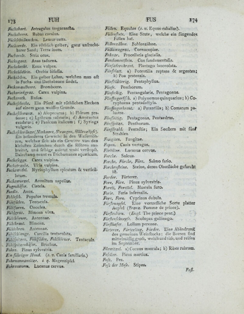 Fuchsbart. A?tragaliis frfgacantha. Fuchibefre. Rubus caesius. Füclifetmännihm. Lemur catta. Fuchserde. Ein rötl.lich gelber, ganz unfrucht- barer Sand; Terra iners. FuchsevJe. Stru otu?. Fuch}.gavs. Anas tadorna. Fuchshecht. Esox vulpes. Fuchshodlem. Orchis bifolla. Fuchslfli'n. Ein jrelbcr Lehm, welchen man oft in fuchs- unü Dachsbauen findet. Fuchsni aulbeere. Brombeere. Fuchsriedgras. Carex vulpina, Fuchsroth. Rul'us. Fuchsfchecke. Ein Pferd mit röthlichen Flecken auf einem ganz weiflen Grunde. Fuchsfihwanz. a) Alcpecurus; b) Phlcum pra- tense; c) Lythrum i-alicaria; d) Amarantus caudatu>; e; Panicum italicum ; f) Syringa vulgaris. Fuchsfrht''dnze{Nixhaare. S'rmigen, ffollenz'opß). Ein befoiideres Gewatlv in den Wafferröh- ren, welches fici) alsein Gewirre von den kleinften Zaiercheu durch die Uöhrei» aus- breirt-f, und felLige zuktzt wohl verftopfr. Dalechanip nt•n.^t es Trichomanes aquaticum. Fuchsfegfte. Carex vuipina. Fuchstraube. Viis vulpina. Fucfiswcdel. Wyriophyllum spicatnm & verticil- larum. Fuchswurzel. Aconitum napellus. Fufrenkäfcr. Cistela. Fuedle. Anus. Fiihlrfch. Po pul US tremula. Fühljäden. Tentacula. Fi'thlfarrn. Onoclea. Fuhl^ras. Mimosa viva. Fühlhörner. Antennae. Fiihlkraut. Rliraosa. Fühlchren A^nrentiae. FJi'iifch'ange. Caecilia tentarnlafa. Füh'fp'''^''^y Fuhlf'dder., Fiiklhörner. Tentacula. Fti h Iffiilz nk'dfcr. B r u ch us. Fuhre. Pinus sylvestris. Ein führigi'r Hund. {s. v. Canis familiarls.) Fuhrtmnnsmiitze. i q. M:ta;enzipfek Fükrenworm. Lucanus cervu». FÜS 174 Fullen. Equulus (j. i». Equus caballus). Fülknßu.te. Eine Stute, welche ein fäogende? füllen hat. Fiilleijzähu e. Fohlenz'ähne. FiUlmrngras, Cornucopiae. Fvlmar. Procellaria glacialls. Fundameiifftein. Cos fundamentalls. Fünfaderhkratit. Plantago lanceolata, Fiiv.ßilatt. a) Potentilla reptans & argenteaj b) Poa pratensis. Fn)if:tätierig. Pentaphyllus. Fiinfe. Penthorum. Fünfeckig. Pentangularis, Pentagonus. Fün^yjgerfif.h. a) Polynemusquinquarius; b)Co- r^-phaena pentadaftyla. Füv.ffingcrkmtU. a) Potentilla; b) Comarum pa- lustre. Fiiüffeifig. Pentagonus, Pentaedras. Fiivffpiize. Penthorum. Fiir.fßraht. Pentactis; Ein Seeftern mit fünf Strahlen FiDigilen, Fungitae. Fupen. Canis vertagus. F'trhoter. Lucanus cervos. Furche. Sulcus. Furche, Furche^ Fiire. Salrao fario. Furchenßeine. Steine, deren Oberfläche gefurcht id. Furder. Fiirterer. Fnre, Füre. Pinus sylvestris. Furett, Fv.rettel. Mustela furo. Furie. Furia infernalis. Fure, Forn. Cyprinus dobula. Fäßcnapfel. Eine vortrefliche Sorte platte? Aepfel (Yrar.z. Pomme de priuce). Fürßenhiru. {Engl. The prince pear.) Füißenfchnepfe. Scolopax gallinago. Filyßhafer. Lolium perenne. Fürterer, FürterHug, f urder. Eine Ab'andrung des genneinen Weinflocks; die Beeren find mittehmiiiiggrofs, weich und lüfs, und reifen im September. Futtvitzel. a)Cornus mascula; b) Rices rubrum. FiifcUer. Picus martius. Fufs. Pes. ■Fiifs der Mo/r. Stipes,