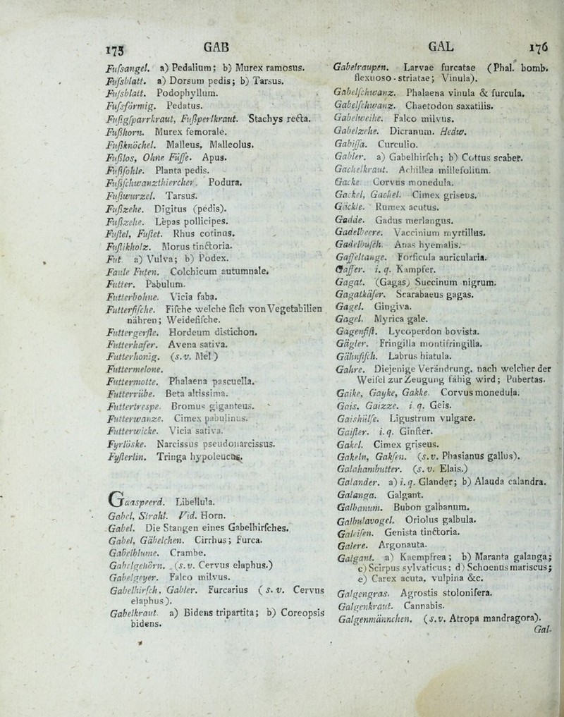 Fufsanget, a)Pedaliura: b) Murex ramosus. Frifshlatf. a) Dorsum pedis; b) Tarsus. Fvjshlait. Podophyllum. Fufsforniig. Pedatus. Fußgfparrkraut, Fv.ßpctikraut. Stachys refta. Fiißhorn. Murex femorale. Fußknöchel. Malleus, Malleolus. Fiißlos, Ohne Füffe. Apus. Fvfifohle. Planta pedis. Fufifchu-anzthiercher. Podura. Fiißwiirzel. Tarsus. Fußzehe. Digitus (pedis). Fußzehe. Lepas pollicipes. Fiiflel, Fußet. Rhus cotinus. Fnfliktiolz. Morus tinftoria. Fitt a) Vulva; b) Podex. Fmile Fitten. Colchicum autumnale. Flitter. Paljulum. Futterbohne. Vicla faba. Futteißfche. Fifche welche fich von Vegefcabilien nähren; VVeidefifche. Futtergcrfle. Hordeum distichon. Futterhafer. Avena sativa. Futterhonig, {s. v. Mel ) Futtermelone. Futtermotte, Phalaena pascuella. Futterrübe. Beta altissima. Futtertrespe. Bromu'; giganteus. Futterwanze. Cimex pabulinus. Futterwicke. Vicia sativa. Fyrl'öske. Narcissus pseudouarcissus. Fyßertin. Triiiga hypoleucQ^ Cjcicispeerd. Libellula. Gabel, Slrahl. Vid. Horn. Gabel. Die Stanj^en eines Gabelhirfches. Gabel, Gäbelchen. Cirrhus; furca. GaBelblume. Crambe. GahrlgehÖrn. .(j.v. Cervus elaphus.) Gahelgpyer. Falco milvus. Gabelhirfch. Gabler. Furcarius {s.v. Cervns elaphus). Gabelkravt. a) Bidens tripartita; b) Coreopsis bidens. Gabelraupen. Larvae furcatae (Phal. bomh. flexuoso-striatae; Vinula). Gabeljchivanz. Phalaena vinula & furcula, Gabelfchwanz. Chaetodou saxatilis. Gabelweihe. Falco milvus. Gabelzehe. Dicranum, Redw. Gabiß'a. Curculio. Gabler, a) Gabelhirfch ; b) Cottus srabef. Gachelkvaut. Arhil'.ea millefolium. Gacke Corvus monedula. Ga.krl, Gachel. Cimex griseus. Gackle. Rurcex acutus. Gttdde. Gadas merlangus. Gadelbeere. Vaccinium nriyrtillas. Gadelbufch. Anas hyemalis. Gaßeltauge. Forficula auricularia. (3cißer. i. q. Kampfer. Gagat. (Gagasj Succinum nigrum. Gagatkäfer. Scarabaeus gagas. Gagel. Gingiva. Gagel. Myrica gale. Gagenßß. Lycopcrdon bovista. Gägler. Fringilla niontifringilla. G'dhnfißh. Labrus hiatula. Gahre. Diejenige Verändrung. nach welcher der Weife! zur Zeugung fähig wird; l^ubertas. Gaike, Gayke, Gakke. Corvus monedula. Gais, Gaizze. i q. Geis. Gaishülfe. Ligustrum vulgare. Gaißer. i.q. Ginfter. Gakrl. Cimex griseus. Gakeln, Gakfen. (j.r. Phasianus gallus). Galahambutter, {s. v. Elais.) Galander, a) i.q. Glander; b) Alauda calandra. Galanga. Galgant. Galhanum. Bubon galbanum. Galbulavogel. Oriolus galbula. GaUifen. Genista tinftoria. Galere. Argonauta. Galgant, a) Kaempfrea; b) Maranta galanga; c) Scirpus sylvaticus; d) Schoenus mariscus; e) Carex acuta, vulpina &c. Galgengras. Agrostis stolonifera. Galgenkraiit. Cannabis. Galgenmännchen, (s.v. Atropa mandragora). Gal.