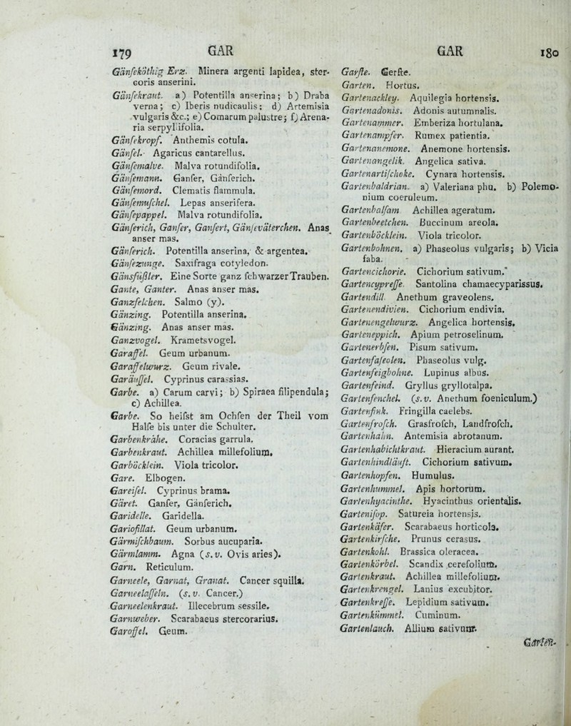 179 Gänfekothig Er%. Minera argenti lapidea, stcr- Goris anserini. G'dnfekrant. a) Potentilla atr^erina; b) Draba Verna; c) Iberis nudicaulis; d) Artemisia vulgaris &c.; e) Comarum palustrej fj Arena- ria serpylifolia. Gänfi'kropf. Anthemis cotula. Gänfel. Agaricus cantarellus. Gänfenialue. MaJva rotundifoHa, Gihifetnann. Ganfer, Gänferich. Gänfemord. Clematis flammula. Gänfemufchel. Lepas anserifera. Gänfepappel. IVIalva rotundifolia. Gänferich, Ganfer, Ganfert, Gäniev'dterchen. Anas_ anser mas. Gänferich. Potentilla anserina, & argentea. Gänfezwifre. Saxifraga cotyledon. Gänsfüfiler. Eine Sorte ganz fcb warzer Trauben. Gante, Ganter. Anas anser mas. GamfeUben. Salmo (y). Gänzing. Potentilla anserina, Gänzing. Anas anser mas. Ganzvogel. Krametsvogel. Garaff'el. Geum urbanum. Garaff^elwurz. Geum rivale. GaräiiJJ'el. Cyprinus carassias. Garbe, a) Carum carvi; b) Spiraea fiHpendula; c) Achillea. Garbe. So heifst am Ochfen der Theil vom Hälfe bis unter die Schulter. Garbenkrähe. Coracias garrula, Garbenkraut. Achillea millefoliuiBt GarbückUin. Viola tricolor. Gare. Elbogen. Gareifel. Cyprinus braraa. Gäret. Ganfer, Gänferich, Garidelle. Garidella. Gariofillat. Geum urbanum. Gärmifchbaum. Sorbus aucuparla. Gärmlamm. Agna (^s.v. Ovis aries). Garn. Reticulum. Garneele, Garnat, Granat. Cancer squilla. Garneelaffeln. {s.v. Cancer.) Garneelenkraut. lUecebrum sessile, Garnweber. Scarabaeus stercorarius. Garoffel, Geum. Garße. fierfte. Garten. Hortus. Gartenacktey. Aquüegia hortensis. Gartenadonis. Adonis autumnalis. Gartenammer. Emberiza hortulana, Gartenampfer. Rumex patientia. Gadenanemone. Anemone hortensis. Gartenangelik. Angelica sativa. Garfenarti/cheke. Cynara hortensis. Gartenbaldrian, a) Valeriana phu. b) Polemo- nium coeruleum. Gartenbalfam Achillea ageratum. Gartenbeetchen, ßuccinum areola. Gartenb'öcklein. Viola tricolor. Gartenbohnen, a) Phaseolus vulgaris; b) Vicia faba. Gartencichorie. Cichorium sativum. Gartencypreffe. Santolina chamaecyparissus. Gartendill Anethum graveolens. Garteneniivien. Cichorium endivia. Gartenengelwurz. Angelica hortensis, Garteneppich. Apium petroselinum. Gartenerbfen. Pisum sativum. Gartenfajeolen. Phaseolus vulg. Gartenfeighohne. Lupinus albus. Gartenfeind. Gryllus gryllotalpa. GartenfencheU (s.v. Anethum foeniculum.) Gartefif nk. Fringilla caelebs. Gartenfrofch. Grasfrofch, Landfrofch. Gartenhahn. Antemisia abrotanum. Gartenhabichtkraiit. Hieracium aurant. Garienhindläuft. Cichorium sativum. Gartenhopfen. Humulus. Gartenhnmmel. Apis hortorum. Gartenhyacinthe. Hyacinthus orientalis. Gartenifup. Satureia hortensis. Gartenkäfer. Scarabaeus horticola. Gartenkirfche. Prunus cerasus. Gartenkohl. Brassica olcracea. Gartenkorbel. Scandix cerefoliutn, Garfenkraut. Achillea millefoliuoj. Garten kr enget. Lanius excubitor. Gartenkreß'e. Lepidiura sativum. Gartenkümnet. Cuminum. Gartenlauch. Allium sativutff.