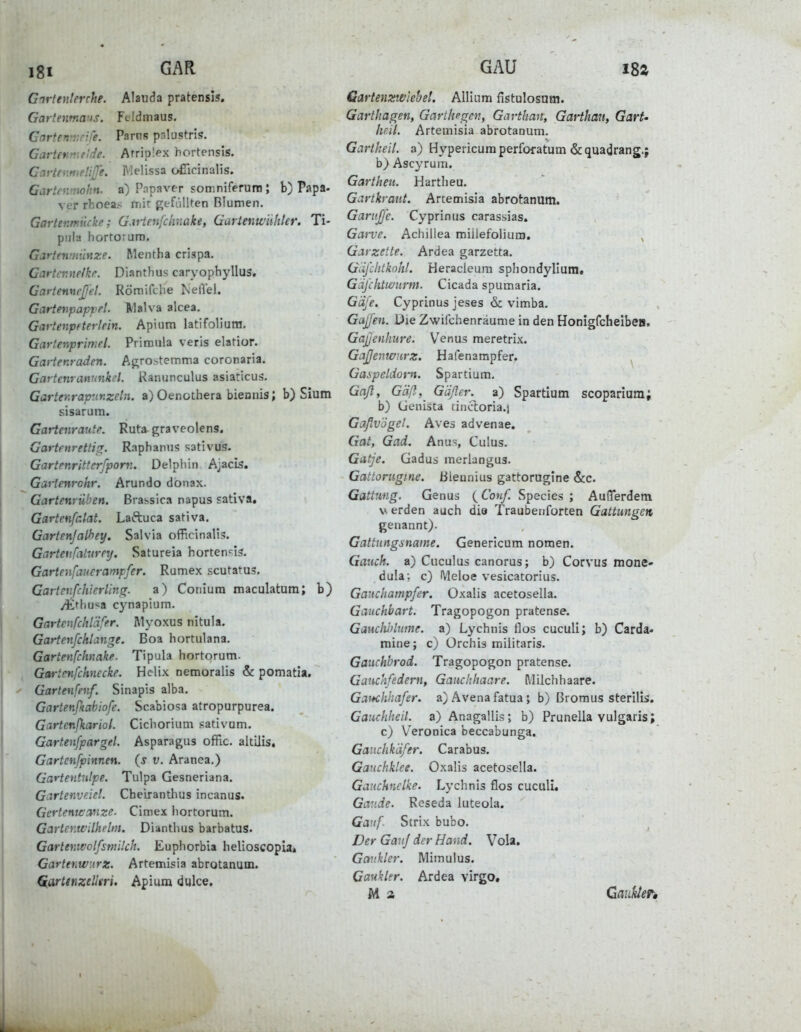 Garfenlerche. Alauda pratensis. Gartenmans. Feldmaus. Cartemtinfe. Parns pnlustris, Gartetwiflde. Atriplex hortensis. Cartrnmelijfe. Melissa ofilcinalis. Gartenmohn, a) Papaver somniferum ; b) Papa- ver rhoea> friir gefüllten Blumen. Gartenmücke; G-itienfchnake, Gartenwühler. Ti- pijla hortorura. Gartenmünze. Mentha crispa. Cartennelke. Dianthus caryophyllus. GartemcßeL Römifcbe NelVel. Gartenfiapfel. Walva alcea. Gartenpfterlein. Apium latifoliura. Gartenpriniel. Primula veris elatior. Garienraden. Agro.stemma coronaria. Gartenranunkel. Ranunculus asiaticus. Carter.rapnr.zeln. a) Oenothera biennis; b) Sium sisarum. Gartenraute. Ruta^graveolens. Gartenrettif[. Raphanns sativus. Gartenrittcrfponi. Delphin Ajacis. Gaiienrohr. Arundo donax. Gartenrüben. Brabsica napus fativa. Gartenfalat. Laftuca sativa, Gartenjalhey. Salvia officinalis. Garteuhturnj. Satureia horten<^is. Gartenfauerampfer. Rumex scutatus. Garietifchierlin(r. a) Coniura maculatura; b) ytrhu«a cynapium. Gartenfchl'dfe.r. Rlyoxus nitula. Gartenfcklange. Boa hortulana. Gartenfchnake. Tipula hortorum. , Gartenfehnecke. Hclix nemoralis & pomatia, Gartenfmf. Sinapis alba. Gartenfiabiofe. Scabiosa atropurpurea. Gartenßariot. Cichorium sativum. Gartenfpargel. Asparagus offic. altüis. Gartenfpinnen. (s v. Aranea.) Gartentntpe. Tulpa Gesneriana. Gartenveiet. Cheiranthus incanus. Gcrtenvcanze- Cimex hortorum. Gartenwilhelm. Dianthus barbatus. Gartenwolfsmilch. Euphorbia helioscopia* Gartenwiirz. Artemisia abrotanum. (iarttnzelkri. Apium «iulce. Gartenzwlehel. Allinm fistulosum. Garthagen, Garilifgen, Gartkan, Garthau, Gart- heil. Artemisia abrotanum. Gartkeil. a) Hypericum perforatum & quadrang.j b} Ascyrum. Garthen. Hartlieu. G^rtkvaut. Artemisia abrotanum. Garnjj'c. Cyprinus carassias. Gaive. Achillea miilefoliuro. ^ Gar zelte. Ardea garzetta. Gäj'chikohl. Heracieum sphondylium. Gäj'ihtmirm. Cicada spumaria. Gäfe. Cyprinus jeses & vimba. Gajfen. Die Zwifchenräume in den Honigfchelbea. Gajjenhure. Venus meretrix. GaJJeimiirz. Hafenampfer. Gaspeldoi-n. Spartium. Gaß, Gäß,_ Gäfler. a) Spartium scopariura; b) Genista cincloria.) Gaßvögel. Aves advenae. Gat, Gad. Anus, Culus. Gatje. Gadus merlangus. Gattorugme. Bleanius gattorogine &c. Gattung. Genus {Conß Speeles ; Aufferdem V erden auch die Trauberiforten Gattungen genannt). Gattungsname. Genericum nomen. Gauch, a) Cuculus canorus; b) Corvus mone- dula; c) IVleloe vesicatorius. Gauchampßer. Oxalis acetosella. Gauchbart. Tragopogon pratense. Gauclil)lnme. a) Lychnis flos cuculi; b) Carda- mine; c) Ürchis miiitaris. Gauchbrod. Tragopogon pratense. Gauckfedern, Gaiichhaare. Milchhaare. Gaitchhaßer. a) Avenafatua; b) ßromus sterilis. Gauchheil, a) Anagallis; b) Prunella vulgaris; c) Veronica beccabunga. Gauchk'dfer. Carabus. Gauchklee. Oxalis acetosella. Gauchnclke. Lychnis flos cuculi. Gande. Reseda luteola. Gauf. Strix bubo. Der Gauf der Hand. Vola. Gaukler. Mimulus. Gaukler. Ardea virgo. M 2 CaukieFi