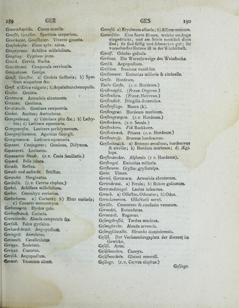 Gmeralkapitän. Conus monile. Gnteße, Qeneßer. Spartiura scopariura. Geuetkatze, Geuißkafze. Viverra genetta. Gctiferkirfer. Pinus sylv. rubra. Gengeg;raue. Achillea milleformtn, Gengling. C}'prinu--jeses. Genick. Cervix, Nucha. Genickkraut. Campanula cervica,rla. Genipabanm. Genipa. Geniß, Genißn: a) Genista tinftoria; b) Spar- • tium scoparium &c. Genß. a)Erica vulgaris; b)AspalatIiuschenopoda. Genßer. Genista. Geniwurz. Arternisia abrotanum. Genzian. Gentiana. Ge'izianelle. Gentiana campestris. Geohrt. Auritus; Auriculatus. Georgenkraut, a) Valeriana phu &c.; b) Lathy- rus; c) Laihraea squamaria. G^orgenrofen. Lonicera periclymenum. Georgenfchwamni. Agai icus Georgii. Georgenwurz. Lathraea squamaria. Gepaart. Conjugatus; Gerainus, Didynius. Gepanzert. Loricatus. Gepanzerte Runde, {s. v. Canis familiäris.) Gepard. Felis jubata. Gerade. Reftus. Geradt^ und aufrecht. Stri^tug. Gerandet. Rlarginatus. Ger'dufch. {s. v Cervus elaphus.) Gerbet. Achillaea millefolium. Gerber. Cerambyx coriarius. Gtrberbaum. a) Coriaria; b) Rhus coriaria; c) Conarus monocarpus. Gerhermyrte. Myrica gale. Gerberflrauch. Coriaria. Gereutlerche. Alauda canapestrls 3cc. Gerfalk. Falco gyrfalco. Gerhardskraut. Aegopodiuiö. Geringelt. Annulatus. Gerinnelt. Canaliculatu». Gerippe. Seele tum. Gerippt. Costatus. Gerifch. Aegopod'um. Gtrmer. Veratrum albaiti. Germfet. a) Erysimum alliaria; b) Allinm ursinutn. Gernroder. Eine Sorte Birnen, welche am Auge eingedrückt, und am Stiele merklich dünn fmd; lie find fai'tig und fchmecken gut; ihr vornehmfter Nutzen ift in der Wirthfchaft. Gerolf. Oriolus galbula. Gerönne. Die Wurzelzweige des Weinftockg, Gerfch. Aegopodium. Gerfcken. Fraxinus excel^ior. Gerßaminer. Emberiza miiiaria citrinella. Gerße. Hordeum. Taube Gerße. (j. Hordeum.) Gerßenapfel. {Franz. Orgeran.) Gcrßenhirn. {Franz. Hativeau.) Gerßendieb. Fringilla domestica. Gerßenfiiege. Musca (k). Gerßengras. Hordeum murinum. Gerßengraupen. (s.v Hordeum.) Gerßenkorn. (s.v. Seeale.) Gerßenknrn. Vid. Rackkorn. Gerßentrank. Ptisana {s. v. Hordeum.) Gerßentrcfp. Bromus hordeaceus. Gerßentwalch. a) Bromus secalinus, hordeaceus &sterilis; b) Hordura mnrinura; d) ^Egi- lops. Gerßenziicker. Alphenix (s v. Hordeum). Gerßvogel. Emberiza miiiaria. Gerßu/urm. Gryllus gryllotalpa. Gerte. Vimen. Geriet, Gertwurz. Arternisia abrotanum. Gerterikraiit. a) Ferula; b) Bubon galbanum, Gertraudsvogel. Lanius infaustus. Geruch, a) Olfaftus, Odoratus; b) Odor. Geruchsnerven. Olfactorii nervi. Geriille. Concursus & confusio venarum. Gerundet, Rotundatus. Gerunzelt. Rugosus.' Gefangdroßel. Turdus musicus. Gefanglerche. Alauda arvensis. Gefaiigfchwalbe. Hirundo don;iinicensis. Gcfdß. Der Verfammlungsplatz der Bienen] im Gewirke.^ Gefäß. Anus.* Gefäßknochen. Coccyx. Gefdßmiskeln. Glutaei musculi. Geföuge. (j.t;. Cervus elaphus.) Gefänge.