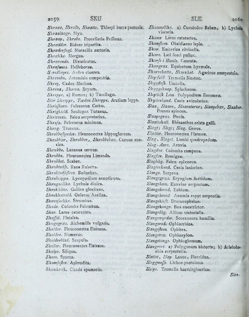 *c59^ SKU Skraa<f, SliraUe, Skratte. Thiaspi bursa pastorls,. S^raalaagr. !\Tya. £kraap, Skrabe. Procellaria Piiffinus. Skrcvdder. Bidens trlpartita. Skrcederfugl. IMotacilla sartoria» Skra:We. Mergus. Skrcvvende. Divaricatus. Skrafmus. Helleboras. S yfdJieijre. Ardea cinerea. ^kyeenbtt. Arternisia campestris, Skrey, Gadus Morhua. ^krena, .Skrc?:^. Bryum. Skveppe. a) Rumex; b) Tussilago. Stor iSkrfppe, Tcrden Skreppe. Arctium lappa, Skt'iefkarv. felecanus Carbo. Skrigkield. Scolopax Totanus,. ^kriveren. Falco serpentarius.. Skrofa. Pelecaniis miniraus. Skrog. Truncus. Skrobbeßijndir. Pleuronectes hippoglossus* Skruhbcsr, Skritbbcr., Skrnbbebccr. Ccxims sue- cica. Skrubbe. Lucanus cervus. Skrubbe. Pleuronectes Limanda. Skrubbet, Seaber. Skruhtudfe. Rana Rubetra. Skrulhidfeßecn. Bufanites. Skruhv'tppa. Lycoppdium annotirunii. Skrugneluke. Lychnis dioica. Skrukhöne. Gallira glocitans. ^kriikheifolJ. Oniscus Asellus». Skriw/nekke. Strombus.' Skttde. Colamba Palumbus, £kue. Larus cataractes, SkuffeL Platalea. Skugegrces. Alchemilta vulgaris, Skulder. Pleuronectes Platessa. Skuldre. Humerus. Sktildrebhd. Scapu!a< Skiiller. Pleuronectes Platessoi Skiilpe. Siliqua« Skim. Spuraa. Sktmfcßer. Aphrodita. tSkiffjjk.r.'rk. Cicada sp4jraaris> SLR 2060 Skimmeüik!!. a) Cucubalus Beben, b) Lychult viscaria. Skumr Lärus cataractes. Sktimßeen. Obsidianus lapis. Skur. Emberiza citrinella. Skure, Lari fusci pullus., Skiirfe i Hiirntt. Cuscuta.- Skurgrcss. Equisetum hyetnale. Skwvehcette, Skmvhat. Agaricus campestris. Shy/ald. Trernclla Nostoc. Slijf^dufk. Umbella, SVijagehnop. Splachnum. SVythifk Lam Polypodium Baromea-, S^ylterJntnd. Canis avicularius. Slaa, Slaaen, Slaaentorne; Slaapebccr,. Siaaber. Prunus spinosa. Staapegrces. Pterls. Slaattcikall. Rhinanthus crista gallii Slcegt; Siegt; Slag. Genus. ^Ixtter, Pleuronectes Platessa. Slag, Slagft. Lumbi quadrupedunt»- Sbg - Aare. Arteria. Slagdne Columba campana. Slagßer. Remiges. , Slaphäg. Falco apivorus. Slaglerhimä. Canis laniarius; Sltwge. Serpens. Slangcgrxs. Eryngium.foetidumi Slangeham. Exuviae serpentum. Slangekovfd. Echiutn. Slmgekoved Anomia caput serpentisi Slangekitft. Dracocephalon. Slangekonge. Boa constrictor. Slangelög. Allium vdotoriaKs. S'.angeivy;'der. Scorzonera humili&. Slangerodi Ophiorrhiza. Slangefleen Ophites. Slangptrss. Ophioxylon. Slangetimge. Ophioglossum. Slangpvrt. a; Polygonum bistori:aj b) Aristolo» chia serpejita.'ia. Slattet, Slap Laxus, Flaccidus. Shggmoße. Lichtn pustulatus. SUips. Tremtlia hafemisphaerica.