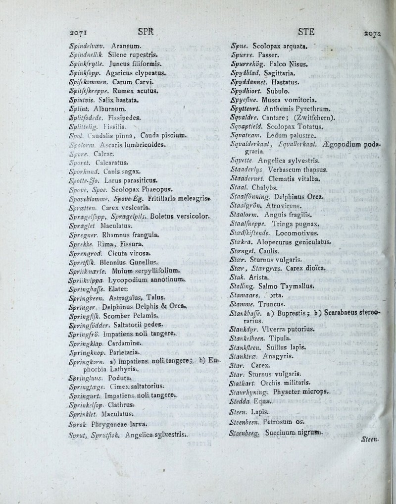 2071 SPl^ Spindehcev. Araneutn. Spindnellik. Silene rupestris. Spinkfrytle. Juncus filiforrais. Spinkfopp, Agaricus clypeatus» Spiß'kommen. Carum Carvi. Sjßitfefkreppe. Rumex acutus. Spiulvie. Salix, hastata. Splint Alburniim- SpUtfodtde. Fissipedes. Spli'ttlig. Fissilis.  Svol. t audalis pinna, Cauda piscium^ Sp'ilorm A?caris lumbricoides. Sfore. Calcar; Sforet. CalearatuSi Sporlinnd. Canis sagax. Spotte-^o. Larus parasificus. Spcve, Spoe. Scolopax Phaeopus. Spovebiomm. Spätre'Eg. Fritillaria meleagrls». Spycettftn. Carex vesJcaria* Spraf^elfopp,. Spmgelpils*. Boletus; versicolo^ Spraglet Maculatus. Spregner. Rhamnus franguia, Sprtkke. Rima, Fissura^, Sprenoirod: Ctcuta virosai Spretfifk. ßlennius Gunellus. Spriikncerle. Mnium serpyllifolium. Spriikvippa Lycopodium. annotinunv.. Springhaß'e. Elater; Springbeen. Astragalus, Talus. Springer. Delphinus Delphis & Orca». Springfifk. Scoraber Pelamis. Springfodder. Saltatorii pedes. Springfr'6. Impatiens noli tangere. Springklap- Cardamine. Springknop. Parietaria. Springkorn, a) Itnpatiens. noli tangereb) Eo^- phorbia Lathyris., Springhi^ts. Po d ura» Springtcegei Cimex saltatoriüs. Springiirt. Impatiens noli taDgere*. SprinkHfop. ClathruSi Sprifkiet MaculatuSi Sprok Phryganeae larva» Spruty Sprutßok, Angelica^ sylvestris;. STE 2oy% Spue. Scolopax arquata. Spurre. Passer. Spurrehög, Falco Nisus. Spyiblad. Sagittaria. Spyddannet. Hastatus. Spydhiort. Subulo. Spyeflne. Musca vomitoria. Spytteurt. Anthemis Pyrethrum. Sqvaldre, Cantare; (Zwitfchern). Sqvaptield. Scolopax Totatus, Sqvatranu Ledum palustre. Sqvalderkaal, Sqvalkrkaal. yEgopodium poda- graria. Sqvette Angelica sylvestris. Staaderlys Verbascum thapsus. Staaderurt. Clematis vitalba. Staal. Chalybs. Staalfonning. Delphinus Orca. Staalgrön, Atrovireus. Siaalorm. Angnis fragilis. Staatfneppe. 1 rirga pugnax. Stcedj'kiftende. Locomotivus. Stakra. Alopecurus geniculatus» Stcengel. Caiilis. Stcer. Sturnus vulgaris. Stcer, Stccrgrces. Carex dioica. Stak. Arista. Stalling. Salmo Taymallus. Stamaare. . jrta. Stamme. Truncus. SlarMaJfe. a) Buprestis;; b) Scarabaeus steroo- rarius. Stankdyr. Viverra putorius. Starikelbeen. Tipula. Stankßeen. Suillus lapis. Stanktrce. Anagyris. Star. Carex. Star. Sturnus vulgaris. Stathart. Orchis niilitaris. Stanrhyntngi Physeter microps, Steddci Equa-.. Steen. Lapis. Steenbeen. Petrosum os. Slsfnbeeg. Succinura nigruBa». Steen-