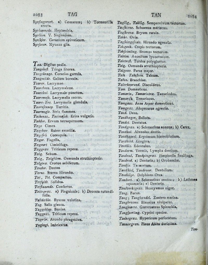 2083 TAG Si/vßngentrt. a) Comarum; b) Tormentllla erecta. Syvhannede. Heptandria. Syvöim. V. Negenöien, Syvfkjer. Geranium sylvaticum. Syufover. Myoxus glis. i Taa, Digifus pedls. Taagehefl. Tiinga litorea. Taagekrage. Coracias garrula. Taagmiläe. Galium boreale, Taarer. Lacr3'mae. Taarebeen. Lacrymaleos. Taarehiil. Lacrymale punctatn. Taarmofe. Lacrymalis saccus. Taare-lre. Larrymalis glandula. Taarnfennep Turritis. Taarnugle. Strix flammea. Tackenas, Tacknafak. Erica vulgario. Tadder. Ervum tetraspermiira, Tcsge Citnex Ta;gcbci^r. Rubus saxatili«, Tceg'frö Coreopsis. ' : TcEger. Fiagella. Tcegeurt Cimicifuga. TceggroES Triticum repens, Talg. Sebum. Talg, Tcelghlom. Osmunda struthiopteris. Tcelgtrce. Croton sebiferum. Toender. Dentes. Tarne. Sterna Hirundo. Tat, Tet. Compactus. Tatfyldt. Solidiis. Tatßaaende. Confertus. Tattegras. a) Pinguicula; b) Drosera rotundi- folia. Tafldcckke. Byssus velutina, Tag- Salix glauca. Taggeklap. Bunias. Tdggras. Triticum repens. Tagrör. Arundo phragtriites, afdg/agf, Imbricatöf. TAN Taglog, Taklög. Sempervivum tectorum, Taafkicnne. Schoenus mariscus. Tagfkrena Bryura rurale. Takke. Ovis. Tagfkicegsfualc. Hirundo agpestis. Takgouk. Crepis tectorum. Takfvimling. Bromus tectorum. Talalm. Aconitum lycoctonum. Taletrcft, Turdus polyglottus. 7a/g. Osmunda struthiopteris. Talgoxe. Parus major. Talk Talkßeen. Talcum. Talkn, ßranchiae. Tallerkenrund. Discoi'deus. Tarn. Domesticus. Tamarin, Tamarintrx. Tamarindus, Tamarifk Tamariscus. Tamgaas. Anas Anser domesticus. Tamgras. Alopecurus agrestis. Tand. Dens. Tandbager. Ballota. Tandet. Dentatus. Tandgras, a) Scleranthus annuus; b) Carex, Tandhul. Alveolus dentis. Tandkaßrel- Erysimum hieraciifoUum, Tandkiöd. Gingiva.- Tandlös. Edentulus. , . , , Tandorm. Vermis, I.ympha dentlura. Tandrod, Tandpingroes. Vimpinella Saxifraga, Tandrod. a) Dentaria; b) Orobanche. Tandfie. Tar.acetam. Tandfkid, Tmdruur. Dentalium. Tandhoije. Delphinus Orca- Tandurt. a) Scleranthus aniiuus; -b) Latbrae* squamaria; c) Dentaria. Tandverksgms. Hoscyamus niger. Tang. Fucus. Tang; Tanghxvndel. Zostera marina. Tangbrosnie. Blennius viviparus. 7angjnarre. Gasterosteus Spinachia. Tmgfperlmg. Cyprini species. Tankegfdes. Hypericum perforatum. Tannorgran, Plnus Abies durissima. Tau-