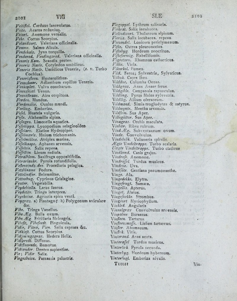 5T0I VIG SLE ,102 Veitiflel. Carduus lanceolatus. Veite. Acarus reduvius. Veiurt. Anemone vernalis. Veke. Cottus Scorpiiis. Velandsurt. Valeriana officinalis. Vemme. Saimo Albula. Vendehals. Jynx torquilU. Venderod, Fendingsrod. Valeriana officinalis. Veneris Kam. Scandix pecten. iX» Veneris Navle. Cotyledon umbilicus. Veneris Navle. Umbilicus Veneris, (j. v. Turbo Cochlus). Venerisßeen. Hysterolithus. Venushaar. Adiantbum capillus Veneris. Vennsptcet. Vulva concharum. Venusfkicel Venus. Vemisßraae. Aira cespitosa. Verden. Mundus. Verdensöie. Oculus mnndi. Verling. Emberiza» Vefel. MusteU vulgaris. Veße. Alchemilla alplna. Veßegro. Limosella aqaatica. Vrßevippa. Lycopodium selaginoideSi Veffelarv. Elatine Hydropiper. Vejfelmcerle. Mnium trichomanis. Veßelmiölne. Atriplex marina. Veßetkaape. Aphanes arvensis, Veßehie. Salix repenji. V-eßelliin Linum radiola. Vetralhlom. Saxifraga oppositifnlia. Vetrarlaukr. Pyrola rotundifolia. Veßenvinds-/lre. Procellaria pelagica» Vetshlaame Podura. ^ Vettelindfer. Belemnitae, Vetterhug. Cyprinus Grislaglne. Vexter. Vegetabilia. Veyiebialla. Larus fuscus. Veydetite. Trin^a interpres. Veyehvine. Agrostis spica venti. Veygrces. a) Plantago f b) Polygonum aviculare &c. Vibe. Tringa Vanellus. Vihe-yEg. Bulla ovum, Vif>e-/Eg Fritillaria Meleagris. Vi'^ffit, Fihefeedt. Pinguicuia. Vidie, Vitree, rien. Salix capraea &c. Vidkiejt. Cottus Scorpins. Vidlim'ngsgyas. Hedera Helix. Vidfpredt. Diffusus. Vidtßaapnde, Remotus. Vidtcender. Denten sapientiae. Vie; Vidir Salix. yiigesbeive, Parnassia palustris. Viegiippet. T.ythrum salinaria. Viekrat, Salix incubucea. yieiindisiirt. Tbalictrum alpinura. Vieriis. Salix incubacea, repens, Vievendel. Lonicera periclymenutn. Vifte. Ostrea pleuronectes. Vtftebyg. Hordeum zeocriton. Viftefonräg. Ftabellifomis. Vigretorn. Rhamnus catharticus. Vikke. Vicia. Vikurkol. Furaex. Vild. Fenis; Sylvestris, Sylvaticus. Vilbiik. Capra Ibex. Vilddiie. Columba Oenas. Vildgaas. Anas Anser ferus. Vildgible. Carapanula rapunculus. Vildling. Pyrus Malus sylvestris. VildlÖg. Allium oleraceum. Vildmand. Simia troglodytes & satyrus. Vildmynte. Mentha arvensis. Vildfvin. Sus Aper. Villugölt'ur. Sus Aper. Vinagras. Orchis maculata. \inbcer. Ribes rubrum. Vind-/Eg. Subventaneum ovum. Vinde. Convolvulus. Vindelnök. Valisneria spiralir, yEgte Vmdeltrappe. Turbo scalaris. Ucegte Vinde/trappe. Turbo clathrns Vindlmnd. Canis grajus. Vindrofe. Anemone. Vindroßel. Turdus musicus. Vindrue. Uva. Vindföte. Gentiana pneumonanthe. Vinge. Ala. Vingedekke. Elytra. Vingefrugt. Samara. Vingelös. Apterus. Vinget, Alatus. Vingefnekke. Strombus. Vin^furt Myriophyllum. X'inkled. Angularis Vinnelgrcvs Convolvulus arvensis. Vinpalme Borassus. Vinfleen. Tartarus. «• Vinßeeinmojfe. Liehen tartareus. Vinftsr. Abomasura. Vinß^k. Vitis. Vinterand. Anas acuta. Vinteraßet Turdus musicus. Vinterürk Pyrola secunda. Vinterhyg. Hordeum hybernum. Vinterfugl. Etnberiza nivalis. Tttttt Viu-