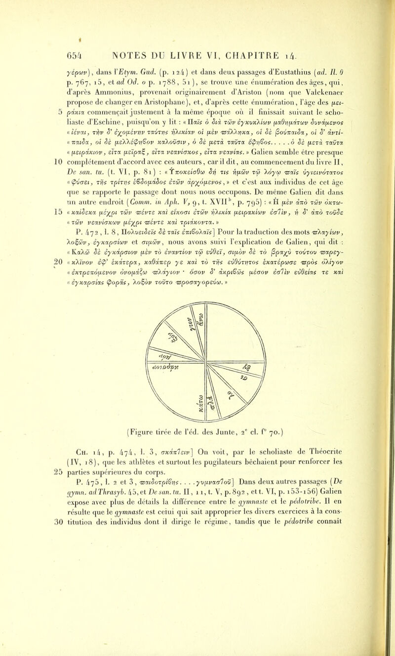 yépeov), dans YEtym. Gad. (p. 124) et dans deux passages d’Eustathius (ad. II. 6 p. 767, 15, et ad Od. o p. 1788, 51 ), se trouve une énumération des âges, qui, d’après Ammonius, provenait originairement d’Ariston (nom que Valckenaer propose de changer en Aristophane), et, d’après cette énumération, l’âge des pei- 5 pdxia commençait justement à la même époque où. il finissait suivant le scho- liaste d’Eschine, puisqu’on y lit : «liais ô Sià rüv èyitviûJuv padnpdruv Svvdpsvos «iévai, rriv S’ ê/opévnv raSrns r\kixiav 01 pèv nrdXArixa, 01 Sè (3oéiratSa, ol S’ àvri- « 7r aiSa, 01 Sè peAAeiprjSov iiaXovoiv, ô Sè per a raîira éÇ>ri6o e ô Sè fiera raîira « peipdxiov, eha petpaij, eha veavtaxos, eha veavlae. » Galien semble être presque 10 complètement d’accord avec ces auteurs, car il dit, au commencement du livre II, De san. tu. (t. VI, p. 81) : «lnoxeiadœ Sri rle ripSv rü \6ytp •maïs vyieivôraros « (pétret, Trjs rphns êSSopdSos êrüv dpyopevos, » et c’est aux individus de cet âge que se rapporte le passage dont nous nous occupons. De même Galien dit dans un autre endroit (Comm. in Aph. F, 9, t. XVII11, p. 795) : «Ô pèv à no riïv oxrw- 15 «xalSexa psypt rtSv rsévre xai eïxoai èrœv rfXixia peipaxîcav èolïv, 17 S’ âno roîiSe « rmv veavioxwv pé%pi rsévre xai rpidxovra. # P. 472,1. 8, IIoXue«5e7s Sè raïs êiuëoAaïs] Pour la traduction des mots •mXayîoov, \o^ô)v, êyxapcrlwv et otpiïv, nous avons suivi l’explication de Galien, qui dit : « KaXÆ Sè èyxapatov pèv r o èvavrtov rS> evbeï, atpov Sè r o fipayjù roôrov nsapey- 20 « xXtvov ê(p’ èxdrepa, xaQdxep ye xai r o rfjs evOvrrjros êxarépcotre nspos okiyov « êxrpenopevov ovopdÇù) nskdyiov • ooov S’ dxpiScSs péaov èoliv etjQeîas re xai « êyxapffîas Qopâs, Aoè,ov rôtir o rspoaayopevu). » Ch. 14, p. 474, 1. 3, axoLTcIeiv\ On voit, par le scholiaste de Théocrite ( IV, 18), que les athlètes et surtout les pugilateurs bêchaient pour renforcer les 25 parties supérieures du corps. P. 475, 1. 2 et 3, nsaiSorptëris. . . .yvpvaaloîi] Dans deux autres passages (De gymn. adThrasyb. 45, et De san. tu. II, 11, t. V, p. 892 , ett. VI, p. i53-i56) Galien expose avec plus de détails la différence entre le gymnaste et le pédotribe. Il en résulte que le gymnaste est celui qui sait approprier les divers exercices à la cons- 30 titution des individus dont il dirige le régime, tandis que le pédotribe connaît