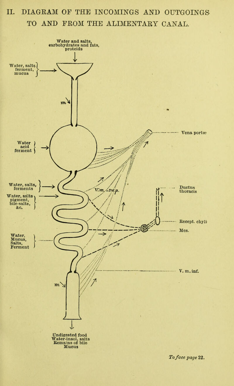 II. DIAGKAM OF THE INCOMINGS AND OUTGOINGS TO AND FEOM THE ALIMENTARY CANAL. Water and salts, earbohydrates and fats, proteids Water, salts j ferment, > mucus J TTL