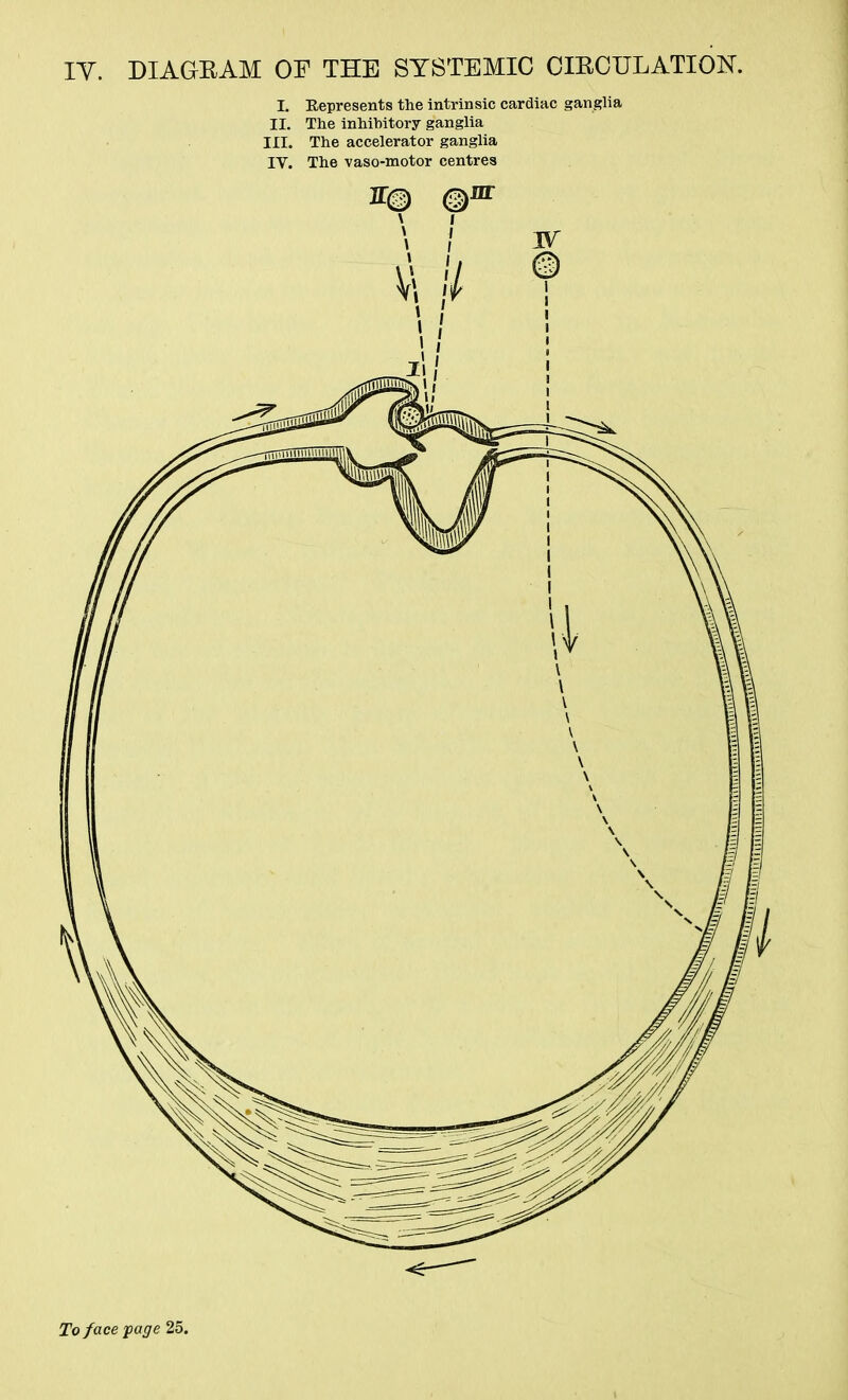 IY. DIAGEAM OF THE SYSTEMIC CIECULATION. L Represents the intrinsic cardiac ganglia II. The inhibitory ganglia III. The accelerator ganglia IV. The vaso-motor centres To face -page 25.