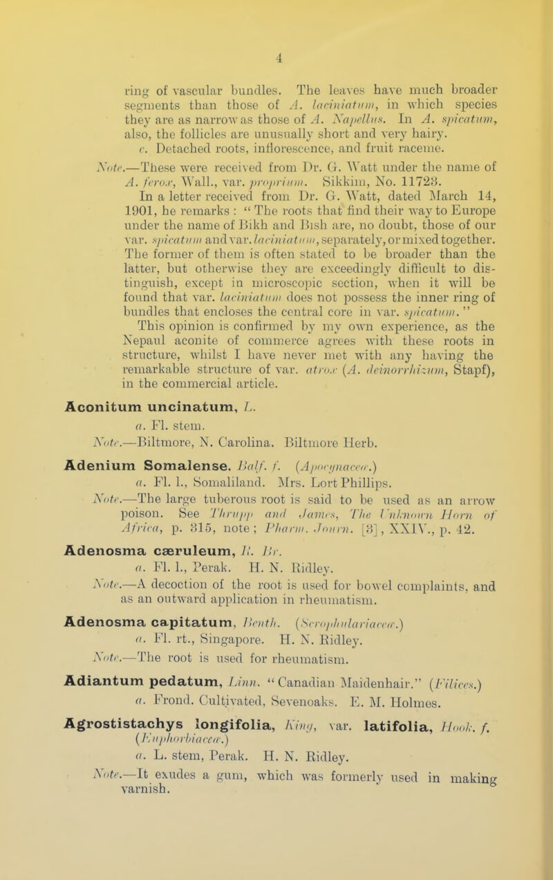 ring of vascular bundles. The leaves have much broader segments than those of /]. laciniotuui, in which species they are as narroAvas those of/i. Xapelliis. In A. spicatiim, also, the follicles are unusually short and very hairy, c. Detached roots, inflorescence, and fruit raceme. Xiitc.—These were received from Dr. G. Watt under the name of A. fcro.r, Wall., var. ])r(>/iriinii. Sikkim, No. 1172B. In a letter received from Dr. G. Watt, dated ]\Iarch 14, 1901, he remarks :  The roots that find their way to Europe under the nameof l>ikh and Bish are, no doubt, those of our var. sjiicatifiji andxav.I(t(i)ii((tinii, separately, or mixed together. The former of them is often stated to be broader than the latter, but otherwise they are exceedingly difificult to dis- tinguish, except in microscopic section, when it will be found that var. laciniatmu does not possess the inner ring of bundles that encloses the central core in var. .■spicatiDn.  This opinion is confirmed by my own ex'perience, as the Nepaul aconite of commerce agrees with these roots in structure, whilst I have never met with any having the remarkable structure of var. atn}.r (A. deinorrliizim, Stapf), in the commercial article. Aconitum uncinatum, L. a. Fl. stem. Note.—Biltmore, N. Carolina. Biltmore Herb. Ad enium Soma,Iense. Ihilj. /. (AjKici/nareti a. Fl. 1., Somaliland. Mrs. Lort Phillips. Notr.—The large tuberous root is said to be used as an arrow poison. See Thniji/i and Javus, 'I he I'lthnairn Horn of Africa, p. 81-5, note; P/iann. Jonrn. [3], XXIV., p. 42. Adenosma cseruleum, 7/. Jir. a. Fl. 1., Perak. H. N. Ridley. Xotc.—A decoction of the root is used for bowel complaints, and as an outward application in rheumatism. Adenosma capitatum, llcntli. {Smip/nilariaccfr.) (I. Fl. rt., Singapore. H. N. Ridley. Xotf.—The root is used for rheumatism. Adiantum pedatum, l.inn. Canadian Maidenhair. (Filin's.) a. Frond. Cultivated, Sevenoaks. E. M. Holmes. Agrostistachys longifolia, Kin;/, var. latifolia, Jlonk. f. {J'^iiji/torhiacc/r.) a. L. stem, Perak. H. N. Ridley. Xotr.—lt exudes a gum, which was formerly used in making varnish.