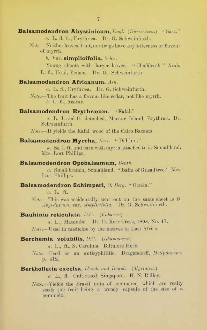 Balsamodendron Abyssinicum, A'n</L {Bursieracea.)  Saat. a. L, li. ft., Erythnea. Dr. G. Scliweinfurth. Note.—Neither leaves, fruit, nor twigs have any bitterness or flavour of myrrh. h. Yar. simplicifolia, Srlnr. Young shoots with larger leaves.  Chaddesch  Arab. L. fl., Ussil, Y'^emen. Dr. G. Schweinfurth. Balsamodendron Africanum, Am. a. L. fi., Erythriea. Dr. G. Schweinfurth. Note.—The fruit has a flavour like cedar, not like myrrh. h. L. fl., Accrur. Balsamodendron Erythraeum.  Kafal. (/. L. fl. and ft. detached, Macaur Island, Erythrita. Dr. Schweinfurth. Note.—It yields the Kafal wood of the Cairo Bazaars. Balsamodendron Myrrha, Nees.  Didthin. a. St. 1. ft. and bark with myrrh attached to it, Somaliland. Mrs. Lort Phillips. Balsamodendron Opobalsamum, llenth. It. Small branch, Somaliland.  Balm of Gileadtree. Mrs. Lort Phillips. Balsamodendron Schimperi, (>. />V;y/.  Oanka. a. L. ft. Note.—This was accidentally sent out on the same sheet as B. AbtinsinicHin, var. simjdirifolia. Dr. G. Schweinfurth. Bauhinia reticulata, ]>.('. (Fabacea:) a. L., Matombo. Dr. D. Kerr Cross, 189d, No. 47. Note.—Used in medicine by the natives in East Africa. Berchemia volubilis, J'.C {lUiamnarea.) (I. L., ft., N. Carolina. Biltmore Herb. Note.— Tsed as an antisyphilitic. Dragendorff, JJeilpikaiun, p. 412. BerthoUetia excelsa, Hmiih. and Bonpl. {Mi/i taceir.) a L., ti. Cultivated, Singapore. H. N. Ridley. Note.—Yields the Brazil nuts of commerce, which are really seeds, the fruit being a woody capsule of the size of a pommelo.