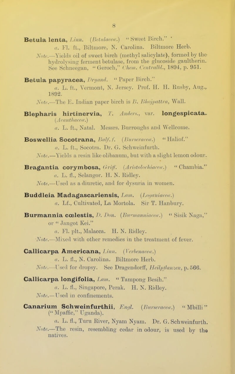 Betula lenta, l.iiin. {Uctnlarnr.)  Sweet Birch. a. y\. ft., Biltniore, N. Carolina. Biltmore Herb. ,V,;^,,._Yieias oil of sweet birch (methyl salicylate), formed by the- hydrolysin.ur ferment betulase, from the glucoside gaultherin. See Schneegan,  Geroch, ( Ju'in. CnttralbL, 1894, p. 951. Betula papyracea, l>njawl.  Paper Birch. (/. L. ft., Vermont, N. -Jersey. Prof. H. H. Rushy, Aug., 1892. Xotf.—The 1'. Indian paper birch is 11. ll/iiij/iKttra, Wall. Blepharis hirtinervia, /. Anders., var. longespicata. [A( (()ltJi((r('/i.) a. L. ft.. Natal. Messrs. Burrouglis and Wellcome. Boswellia Socotrana, r>a}f.f. {Jlurscrarcr.) Haliof. a. L. ft., Socotra. Dr. (1. Schweinfurth. Xotr.—Yields a resin like olibanum, but with a slight lemon odour. Bragaiitia corymbosa, <■'/ ///'. (Aristolnc/iiarca:)  Chambia. a. L. fl., Selangor. H. N. Ridley. Note.—Used as a diuretic, and for dysuria in women. Buddleia Madagascariensis, Law. {fjHianiaccK.) a. Lf., Cultivated, La Mortola. Sir T. Hanbury. Burmannia coelestis, iK Thm. {liu'iiiannidccn.)  Sisik Naga,^ or  .Jangot Kei. a. Fl. pit., Malacca. H. N. Ridley. ■Note.—Mixed with other remedies in the treatment of fever. Callicarpa Americana, Linn. (Wrheiiareir.) a. L. li., N. Carolina. Biltmore Herb. Note.—Used for dropsy. See Dragendorff, }Jeilpjian:e)t, p. 566, Callicarpa longifolia, Lam.  Tampong Besih. ((. L. H., Singapore, Perak. H. N. Ridley. Note. — Used ni confinements. Canarium Schweinfurthii, Fn<iL {nin-wrarea:) Mbilli ( Mpaffic, Uganda). a. L. fl., Turu River, Nyam Nyam. Dr. G. Schweinfurth. Note.—The resin, resembling cedar in odour, is used by the natives.