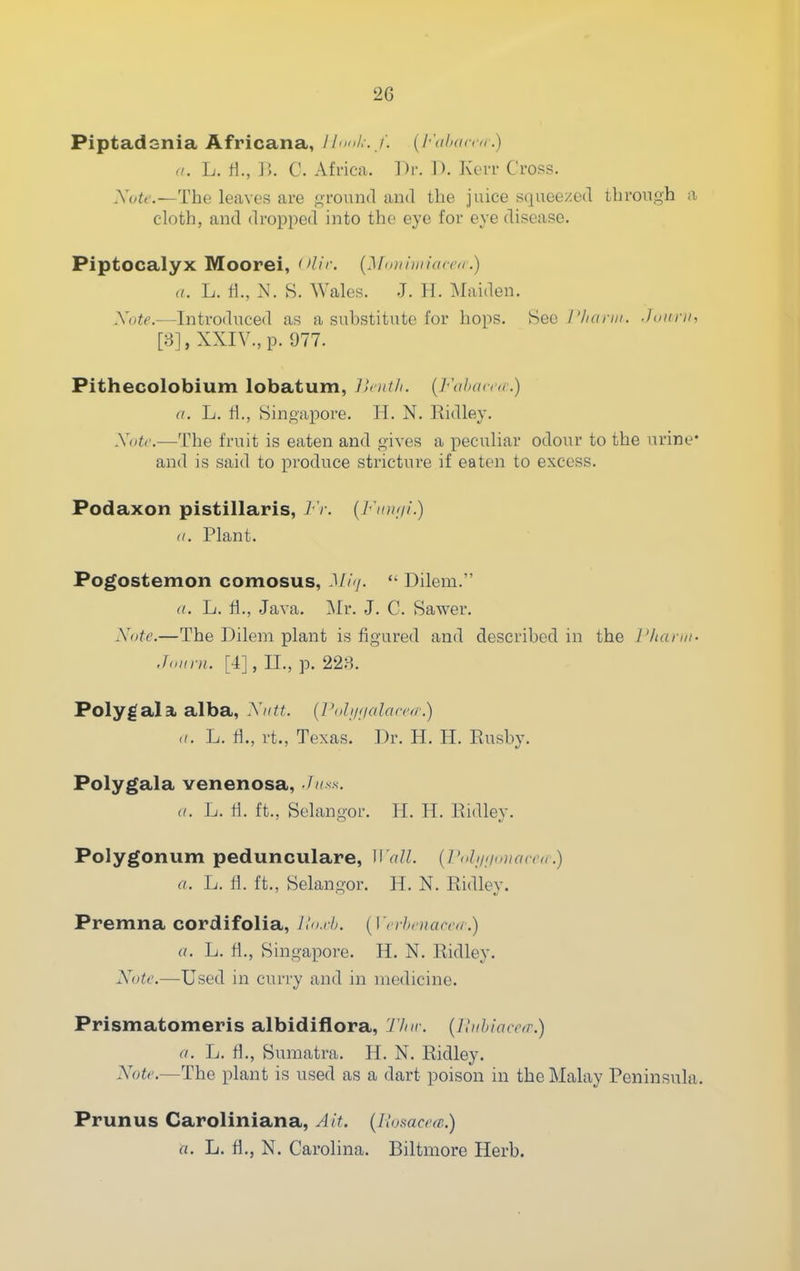 Piptadsnia Africana, ll'<nh-. f. (l-'alxina.) n. L. tl., j;. C. Africa. Dr. 1). Kerr Cross. y.i)ti-.—The leaves are around and the juice squeezed through a cloth, and dropped into the eye for eve disease. Piptocalyx Moorei, {Vn)t\u\xacea\) a. L. 11., N. S. Wales. .J. H. Maiden. SvW.—Introduced as a substitute for hops. Sec I'hann. .loiini, [8], XXIV., p. 977. Pithecolobium lobatum, JU'nth. {]-\(ha(>(f.) (I. L. H., Singapore. H. N. Ridley. Xdtc.—The fruit is eaten and gives a peculiar odour to the urine* and is said to pi'odnce stricture if eaten to excess. Podaxon pistillaris, -/ /. (7 //»///.) (I. Plant. Pogostemon comosus, Mi'/.  Dilem. (I. L. H., Java. ]\Ir. -J. C. Sawer. Note.—The Dilem plant is figured and described in the I'hann- Jnnrn. [4], II., p. 228. Polygala alba, yutt. {Vidimalarni.) a. L. fl., rt., Texas. Dr. H. H. Eusby. Polygala venenosa, -Jn^s. (I. . L. ti. ft., Selangor. H. H. Eidley. Polygonum pedunculare, ^\'aJl. {Vnhjii<nian'(,.) a. L. fl. ft., Selangor. H. N. Ridley. Premna cordifolia, Hn.i-h. {Vcrhniaciur.) a. L. 11., Singapore. H. N. Ridley. Xutc.—Used in curry and in medicine. Prismatomeris albidiflora, 'J'/m-. {llnhiaror.) a. L. fl., Sumatra. H. N. Ridley. NoU'.—The plant is used as a dart poison in the Malay Peninsula. Prunus Caroliniana, Ait. {liumcrm.) a. L. fl., N. Carolina. Biltmore Herb.