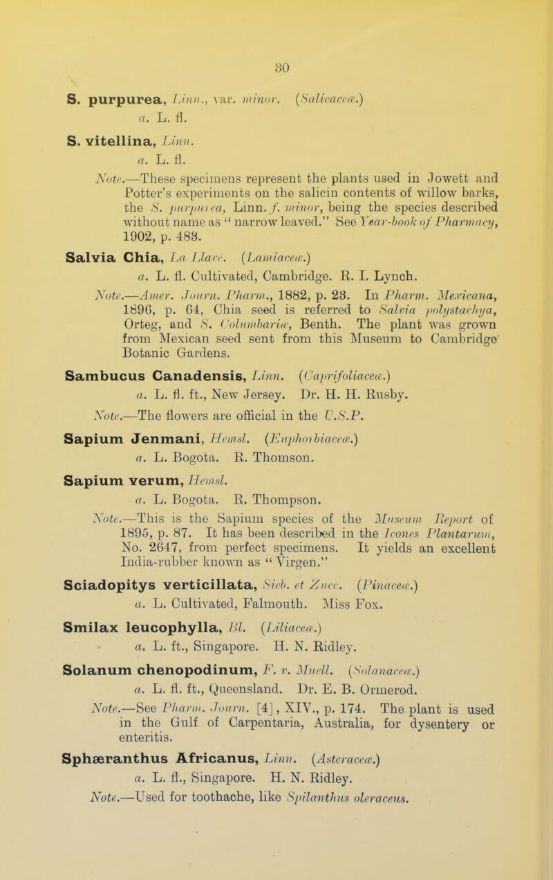 S. purpurea, L'nm., var. minor. [Salicaccd.) a. L. i\. S. vitellina, Li)iii. a. L. fl. Xoti'.—These specimens represent the plants used in Jowett and Potter's experiments on the salicin contents of willow barks, the S. intrpHiia, Linn. /'. being the species described without name as  narrow leaved. See Year-book of Phari)ian/, 1902, p. 48B. Salvia Chia, La IJarr. {Lawianur.) a. L. fl. Cultivated, Cambridge. R. I. Lynch. Xotc.—Aiiwr. Jniini. r/tarn/., 1882, p. 23. Li Pharm. Me.vicana, 1896, p. G4, Chia seed is referred to ■'Salvia /loh/starhija, Orteg, and N. ('idionbari^r, Benth. The plant was grown from ]\[exican seed sent from this INIuseum to Cambridge Botanic Gardens. Sambucus Canadensis, iw'^;?;. {CaiirifoUaceo.) a. L. fl. ft., New Jersey. Dr. H. H. Rusby. Xotc.—The flowers are official in the V.S.P. Sapium Jenmani, Hcwd. {Kitj>h())hiarc(r.) a. Li. Bogota. R. Thomson. Sapium verum, Hnnsl. a. Li. Bogota. R. Thompson. Xote.—This is the Sapium species of the Miisrum Picport of 1895, p. 87. It has been described in the IconeH Plantaruvi, No. 2647, from perfect specimens. It yields an excellent India-rubber known as  Virgen. Sciadopitys verticillata, Sieh. ft Zucr. [Pinacea-.) a. L. Cultivated, Falmouth. Miss Fox. Smilax leucophylla, Bl. {Liliaccn.) a. Li. ft., Singapore. H. N. Ridley. Solanum chenopodinum, F. v. Mndl. {Solanacoa'.) a. Li. fl. ft., Queensland. Dr. E. B. Ormerod. xVofc—See Pharm. Jonrn. [4], XIV., p. 174. The plant is used in the Gulf of Carpentaria, Australia, for dysentery or enteritis. Sphseranthus Africanus, Linn. {Aateracccc.) a. Li. fl., Singapore. H. N. Ridley. Note.—Used for toothache, like Spilanthns oleraceus.