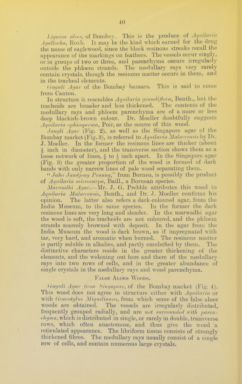 Liiliiinii (tlnrs, of Bombiiy. This is the produce of Aijiiilaria A<iail<,<ha, Eoxb. It may be the kind which earned for the drug- the name of eaglewood, since the black resinous streaks recall the appearance of the markings on feathers. The vessels occur singly, or in groups of two or three, and parenchyma occurs irregularly outside the phloem strands. The medullary rays very rarely contain crystals, though the resinous matter occurs in them, and in the tracheal elements. (utiinli Aijar of the Bombay bazaars. This is said to come from Canton. In structure it resembles yhjiiilaria nidiulifinra, Benth., but the tracheids are broader and less thickened. The contents of the medullary rays and phloem parenchyma are of a more or less deep blackish-brown colour. Dr. Moeller doubtfully suggests Aiiiiilaria nji/iidsju'rina, Poir, as the source of this wood. .laiiiili Alia I- (Fig. 2), as well as the Singapore agar of the Bombay market (Fig. 8), is referred to Aijuilaria Malaccciisis by Dr. J. Moeiler. In the former the resinous lines are thicker (about 1 inch in diaiueter), and the transverse section shows them as a loose network of lines, \ to ]^ inch apart. In the Singapore agar (Fig. 3) the greater proportion of the wood is formed of dark bands with only narrow lines of pale Avood separating them.  JaJio Jandjomi Pcuaiii/, from Borneo, is possibly the product of Aqiiilaria iiiicnirarjta, Baill., a Bornean species. Manrail/ii Ai/ar.—Mr. J. G. Prebble attributes this Avood to Aqiiilana Malancusis, Benth., and Dr. .J. Moeller confirms his opinion. The latter also refers a dark-coloured agar, from the India Museum, to the same species. In the former the dark resinous lines are very long and slender. In the marwadhi agar the wood is soft, the tracheids are not coloured, and the phloem strands scarcely browned with deposit. In the agar from the India Museum the wood is dark brown, as if impregnated tar, very hard, and aromatic when burned. The resinous matter is partly soluble in alkalies, and partly emulsified by them. The distinctive characters reside in the greater thickening of the elements, and the Avidening out here and there of the medullary rays into two rows of cells, and in the greater abundance of single crystals in the medullary rays and wood parenchyma. False Ai.oes Woods. (Tai/iili Ai/ar from SiiKjajioir, of the Bombay market (Fig. 4). This wood does not agree in structure either with Aijuilaria or with (jujiosti/his Mi(jiidi(tiuis, from which some of the false aloes woods are obtained. The vessels are irregularly distributed, frequently grouped radially, and are nut sitrnnntdcd irith jiaroi- r/ii/iiia, which is distributed in single, or rarely in double, transverse rows, which often anastomose, and thus give the wood a reticulated appearance. The libriform tissue consists of strongly thickened fibres. The medullary rays usually consist of a single row of cells, and contain numerous large crystals.