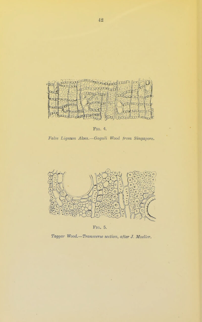 Fig. 4. False Lignum Aloes.—Gaguli Wood from Singapore. Fig. 5