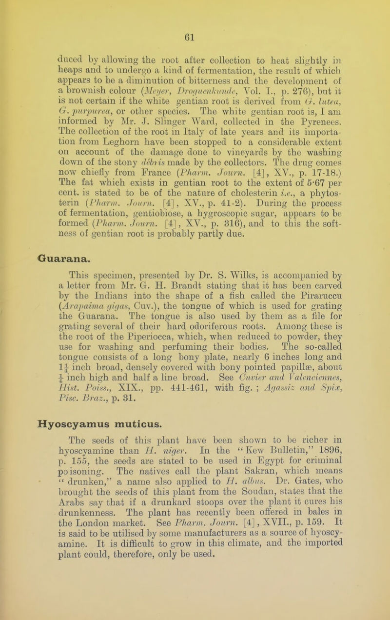 dnced by allowing the root after collection to heat sli<^htly in heaps and to un(leru,-o a kind of fermentation, the result of whicli appears to be a diminution of bitterness and the development of a brownish colour {Mci/cr, DropHenkinidi', Vol. I., p. 270), but it is not certam if the white gentian root is derived from (/. luteu, a. purpurea, or other species. The white gentian root is, I am informed by Mr. J. Slinger Ward, collected in the Pyrenees. The collection of the root in Italy of late years and its importa- tion from Leghorn have been stopped to a considerable extent on account of the damage done to vineyards by the washing down of the stony deb) in made by the collectors. The drug comes now chiefly from France {Fharm. Jonrn. [4], XV., p. 17-18.) The fat which exists in gentian root to the extent of 5-67 per cent, is stated to be of the nature of cholesterin i.e., a phytos- terin {I'hariu. Jonni. [4], XV., p. 41-2). During the process of fermentation, gentiobiose, a hygroscopic sugar, appears to be formed (/V/rt.io[4], XV., p. 316), and to this the soft- ness of gentian root is probably partly due. Ouarana. This specimen, presented by Dr. S. Wilks, is accompanied by a letter from Mr. G. H. Brandt stating that it has been carved by the Indians into the shape of a fish called the Piraruccu (Arajiaiiiia iiii/as, Cuv.), the tongue of which is used for grating the Guarana. The tongue is also used by them as a file for grating several of their hard odoriferous roots. Among these is the root of the Piperiocca, which, when reduced to powder, they use for washing and perfuming their bodies. The so-called tongue consists of a long bony plate, nearly 6 inches long and IJ inch broad, densely covered with bony pointed papillae, about 1 inch high and half a line broad. See Cnvier and Valeneiennes, Hist. Poiss., XIX., pp. 441-461, with fig. ; A<ia>ixiz and Spi.x, Pise. Braz., p. 31. Hyoscyamus muticus. The seeds of this plant have been shown to be richer in hyoscyamine than H. niffer. In the  Kew Bulletin, 1896, p. 155, the seeds are stated to be used in Egypt for criminal poisoning. The natives call the plant Sakran, which means  drunken, a name also applied to H. albiis. Dr. Gates, who brought the seeds of this plant from the Soudan, states that the Arabs say that if a drunkard stoops over the plant it cures his drunkenness. The plant has recently been offered in bales in the London market. See Pharm. Jonrn. [4], XVII., p. 159. It is said to be utilised by some manufacturers as a source of hyoscy- amine. It is difficult to grow in this climate, and the imported plant could, therefore, only be used.