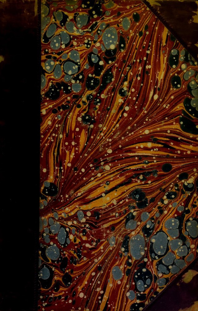 No text description is available for this image