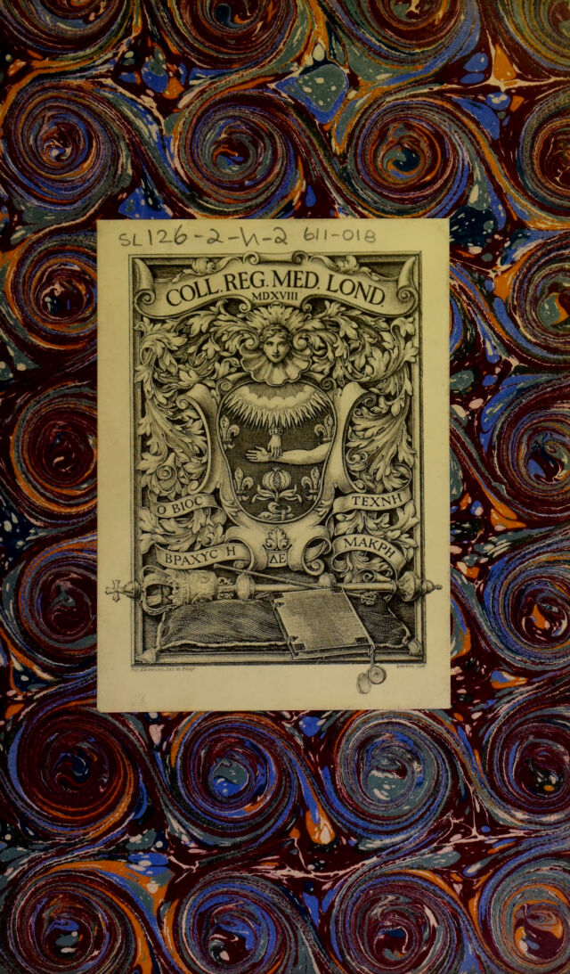 digitised image 3