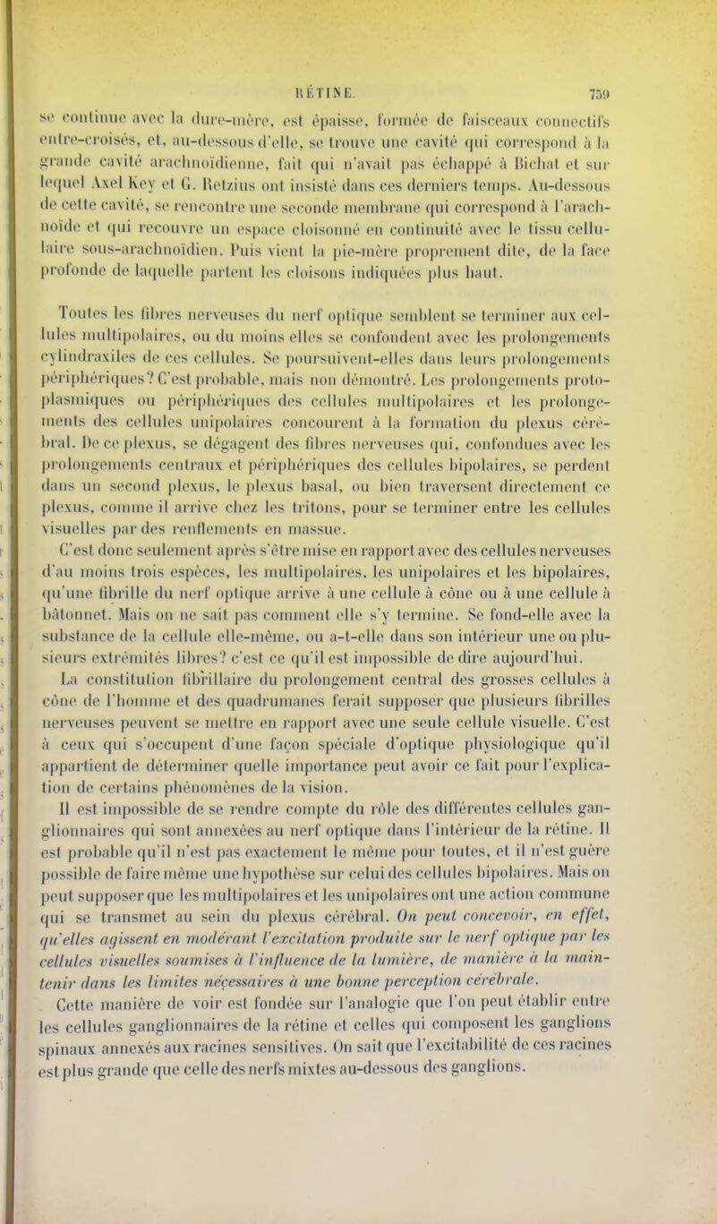 UliïINE. 7j!I so oonliiuie avoc la durc-int'iv. (>st ôpaiï^se, l'oi'iiioe do faisceaux conm'cliCs iMilro-croisés, et, au-dessous d'ollo, se trouve une cavité qui correspond à la .grande cavité arachnoïdieniie, lait qui n'avait pas échappé à JUcliat et sur ie(juel Axel Kcy et G. Uelzius ont insisté dans ces derniers temps. Au-dessous de cette cavité, se rencontre une seconde membrane qui correspond à l'aracli- noïde et qui recouvre un espace cloisonné en continuité avec le tissu cellu- laire sous-arachnoïdien. Puis vient la pie-mère proprement dite, de la lace profonde de hupielle partent les cloisons indiquées plus haut. Toutes les fibres nerveuses du nerf optique send)lenl se lerminei' aux cel- lules multipolaires, ou du moins elles se confondent avec les prolongements cylindraxiles de ces cellules. Se poursuivent-elles dans leurs prolongements périphériques? C'est probable, mais non démontré. Les prolongements proto- plasniiques ou périphériques des cellules multipolaires et les prolonge- ments des cellules unipolaires concourent à la formation du plexus céré- bral. De ce plexus, se dégagent des fibres nerveuses (pii, confondues avec les prolongements centraux et péripliéi'iijues des cellules bipolaires, se perdent dans im second plexus, le plexus basai, ou bien traversent directement ce plexus, conune il arrive chez les tritons, pour se terminer entre les cellules visuelles par des renflements en massue. C'est donc seulement après s'être mise en rapport avec des cellules nerveuses d'au moins trois espèces, les multipolaires, les unipolaires et les bipolaires, ((u'une fdjrille du nerf optique arrive aune cellule à cône ou à une cellule à bâtonnet. Mais on ne sait pas comment elle s'y termine. Se fond-elle avec la substance de la cellule elle-même, ou a-t-elle dans son intérieur une ou plu- sieurs extrémités libres? c'est ce qu'il est inqîossible de dire aujourd'hui. La constitution fibrillaire du prolongement central des grosses cellules à cône de l'homme et des quadrumanes ferait supposer que plusieurs fibrilles nerveuses peuvent se mettre en rapport avec une seule cellule visuelle. C'est à ceux qui s'occupent d'une façon spéciale d'optique physiologique qu'il appartient de déterminer quelle importance peut avoir ce fait pour l'explica- tion de certains phénomènes de la vision. Il est impossible de se rendre conqite du rôle des différentes cellules gan- glionnaires qui sont annexées au nerf optique dans l'intérieur de la rétine. 11 est probable qu'il n'est pas exactement le mémo pour toutes, et il n'est guère possible de faire même une hypothèse sur celui des cellules bipolaires. Mais on peut supposer que les multipolaires et les unipolaires ont une action commune qui se transmet au sein du plexus cérébral. On peut concevoir, en effet, nu'elles agissent en modérant Vexcitation produite sur le nerf optique par les cellules visuelles sou7nises à l'influence de la lumière, de manière à la main- tenir dans les limites nécessaires à une bonne perception cérébrale. Cette manière de voir est fondée sur l'analogie que l'on peut établir entre les cellules ganglionnaires de la rétine et celles qui conqwsent les ganglions spinaux annexés aux racines sensitives. On sait que l'excitabilité de ces racines est plus grande que celle des nerfs mixtes au-dessous des ganglions.