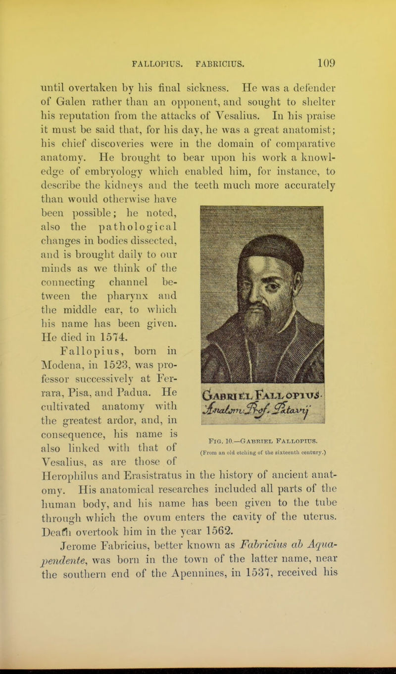 FALLOPIUS. FABRICIUS. KM) until overtaken by his final sickness. He was a defender of Galen rather than an opponent, and sought to shelter his reputation from the attacks of Vesalius. In his praise it must be said that, for his day, he was a great anatomist; his chief discoveries were in the domain of comparative anatomy. He brought to bear upon his work a knowl- edge of embryology which enabled him, for instance, to describe the kidneys and the teeth much more accurately than would otherwise have been possible; he noted, also the pathological changes in bodies dissected, and is brought daily to our minds as we think of the connecting channel be- tween the pharynx and the middle ear, to which his name has been given. He died in 1574. F a 11 o p i u s, born in Modena, in 1523, was pro- fessor successively at Fer- rara, Pisa, and Padua. He cultivated anatomy with the greatest ardor, and, in consequence, his name is also linked with that of Vesalius, as are those of Herophilus and Erasistratus in the history of ancient anat- omy. His anatomical researches included all parts of the human body, and his name has been given to the tube through which the ovum enters the cavity of the uterus. Deafh overtook him in the year 1562. Jerome Fabricius, better known as Fabricms ab Aqua- pendente, was born in the town of the latter name, near the southern end of the Apennines, in 1537, received his Fig. 10.—Gabrtkl Fai.lopius. (From an old etching of the sixteenth century.)