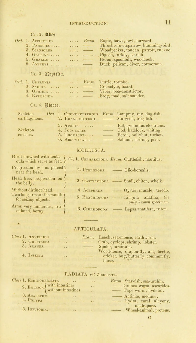 ci,. 2. auts. Olll. 1. AcCIPITUES '2. Passeres .... 3. ScANSOllES 4. Gallin.k .... 5. Gralt.* .... 6. Anseues .... Cl. 3. Krpttlia. (hil. 1. ClIEl.ONlA 2. Sauuia .... .3. Opiiidia .... 4. Bathachia Ci.. 4. I9isrr3. Exam. Exam. Eagle, hawk, owl, buzzard. Thrush, crow, sparrow, humming-bird. Woodpecker, toucan, parroU, cuckoo. Pigeon, turkey, ostricii. Heron, spoonbill, woodcock. Duck, pelican, diver, cormorant. Turtle, tortoise. Crocodyle, lizard. Viper, boa-constrictor. .Frog, toad, salamander. Skeleton cartilaginous. Skeleton osseous. Old. 1. CiiONDROPTEnicii Exam. Lamprey, ray, dog-fish. ~ Sturgeon, frog-fish. Eel, gymnotus electricus. Cod, haddock, whiting. Perch, hoUybut, turbot. Salmon, herring, pike. 2. Bhanciiiostecii 3. Ai>oni:s 4. Ji'cri.AitFS 5. TiioTtAcin... 6. Abdominales MOLLUSCA. ]Iead crowned with tenta- cula which serve as feet. J C/. 1. Cephalopoda Exam. Cuttlefish, nautilus. Progression by fins placed i near the head. Head free, progression on i the belly. | Without distinct head. Two long arms at the mouth | for seizing objects. j Arms very numerous, arti-1 culated, horny. j 2. PTEnOPODA 3. Gasteropoda 4. Acephala 5. BnAcniopoDA 6. ClRRIIOPODA Clio-borealis. Snail, chiton, whelk. Oyster, muscle, teredo. Eingula anatina, ilm only kiHiwn sjieciiiieii. Lepas anatifera, triton. ARTICULATA, E.Tflw. Leech, sea-mouse, earthworm. Crab, Cyclops, shrimp, lobster. Spider, tarantula. AVood-louse, dragon-fly, ant, beetle, cricket, bug,butterfly, common fly, louse. RADIATA vel ZoopiiYTA. C/««.s 1. EciiiNODETiMATA .. .. E.r«m. Star-fish, sBa-urchin. 2. EntezoaI^i'''•• (Juinea worm, ascarides. I without intestines .. Tape worm, hydatid. 3. AcALF.PH^'. .. .. Actinia;, medusa-. 4. PoLYPA .. .. Hydra, coral, alcyony, madrepore. 3. Infusoria. .. .. VViieel-animal, protcus. 0 Class 1. Annelides 2. Crustacea 3. Aranea 4. Insecta