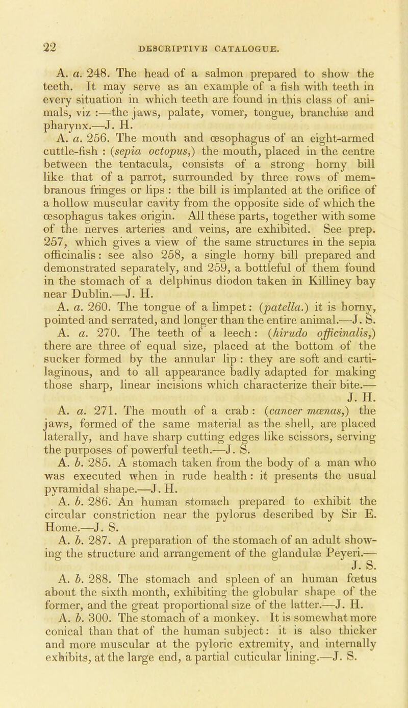 A. a. 248. The head of a salmon prepared to show the teeth. It may serve as an example of a fish with teeth in every situation in which teeth are found in this class of ani- mals, viz :—the jaws, palate, vomer, tongue, branchiae and pharynx.—J. H. A. a. 256. The mouth and oesophagus of an eight-armed cuttle-fish : {sepia octopus,) the mouth, placed in the centre between the tentacula, consists of a strong horny bill like that of a parrot, sun-ounded by three rows of mem- branous fringes or lips : the bill is implanted at the orifice of a hollow muscular cavity from the opposite side of which the oesophagus takes origin. All these parts, together with some of the nei^ves arteries and veins, are exhibited. See prep. 257, which gives a view of the same structures in the sepia officinalis: see also 258, a single horny bill prepared and demonstrated separately, and 259, a bottleful of them found in the stomach of a delphinus diodon taken in Killiney bay near Dublin.—J. H. A. a. 260. The tongue of a hmpet: (patella.) it is homy, pointed and serrated, and longer than the entire animal.—J. S. A. a. 270. The teeth of a leech: {hirudo officinalis,) there are three of equal size, placed at the bottom of the sucker formed by the annular lip : they are soft and carti- laginous, and to all appearance badly adapted for making those sharp, linear incisions which characterize their bite.— J. H. A. a. 271. The mouth of a crab : (cancer moenas,) the jaws, formed of the same material as the shell, are placed laterally, and have sharp cutting edges like scissors, serving the purposes of powerful teeth.—J. S. A. b. 285. A stomach taken from the body of a man who was executed when in rude health: it presents the usual pyramidal shape.—J. H. A. b. 286. An human stomach prepared to exhibit the circular constriction near the pylorus described by Sir E. Home.—J. S. A. b. 287. A preparation of the stomach of an adult show- ing the structure and arrangement of the gland ulae Peyeri.— J. S. A. b. 288. The stomach and spleen of an human foetus about the sixth month, exhibiting the globular shape of the former, and the great proportional size of the latter.—J. H. A. b. 300. The stomach of a monkey. It is somewhat more conical than that of the human subject: it is also thicker and more muscular at the pyloric extremity, and internally exhibits, at the large end, a partial cuticular lining.—J. S.