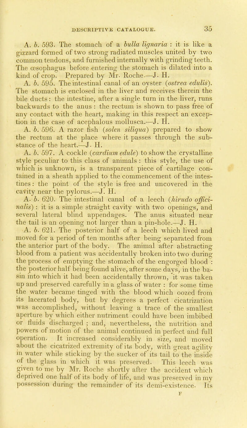 A. h. 593. The stomach of a bulla lignaria : it is hke a gizzard formed of two strong radiated muscles united by two common tendons, and furnished internally with grinding teeth. The oDsophagus before entering the stomach is dilated into a kind of crop. Prepared by Mr. Roche.—J. H. A. b. 595. The intestinal canal of an oyster (ostrea edulis). The stomach is enclosed in the liver and receives therein the bile ducts: the intestine, after a single turn in the liver, runs backwards to the anus : the rectum is shown to pass free of any contact with the heart, making in this respect an excep- tion in the case of acephalous mollusca.—J. H. A. b. 596. A razor fish {solen siliqua) prepared to show the rectum at the place where it passes through the sub- stance of the heart.—J. H. A. b. 597. A cockle {cardium edule) to show the crystalline style peculiar to this class of animals : this style, the use of which is unknown, is a transparent piece of cartilage con- tained in a sheath applied to the commencement of the intes- tines : the point of the style is free and uncovered in the cavity near the pylorus.—J. H. A. b. 620. The intestinal canal of a leech {hirudo offici- nalis) : it is a simple straight cavity with two openings, and several lateral blind appendages. The anus situated near the tail is an opening not larger than a pin-hole.—J. H. A. b. 621. The posterior half of a leech which lived and moved for a period of ten months after being separated from the anterior part of the body. The animal after abstracting blood from a patient was accidentally broken into two during the process of emptying the stomach of the engorged blood : the posterior half being found alive, after some days, in the ba- sin into which it had been accidentally thrown, it was taken up and preserved carefully in a glass of water : for some time the water became tinged with the blood which oozed from its lacerated body, but by degrees a perfect cicatrization was accomplished, without leaving a trace of the smallest aperture by which either nutriment could have been imbibed or fluids discharged ; and, nevertheless, the nutrition and powers of motion of the animal continued in perfect and full operation. It increased considerably in size, and moved about the cicatrized extremity of its body, with great agility in water while sticking by the sucker of its tail to the inside of the glass in which it was preserved. This leech was given to me by Mr. Roche shortly after the accident which deprived one half of its body of life, and was preserved in my possession during the remainder of its demi-existence. Its