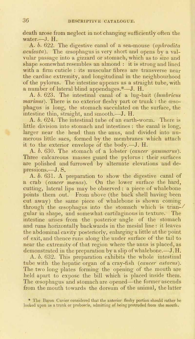 death arose from neglect in not changing sufficiently often the water.—J. H. A. h. 622. The digestive canal of a sea-mouse (apkrodita aculeata). The oesophagus is very short and opens by a val- vular passage into a gizzard or stomach, which as to size and shape somewhat resembles an almond : it is strong and lined with a firm cuticle : its muscular fibres are transverse near the cardiac extremity, and longitudinal in the neighbourhood of the pylorus. The intestine appears as a straight tube, with a number of lateral blind appendages.*—J. H. A. h. 623, The intestinal canal of a lug-bait (lumbricus marinus). There is no exterior fleshy part or trunk : the oeso- phagus is long, the stomach sacculated on the surface, the intestine thin, straight, and smooth.—J. H. A. b. 624. The intestinal tube of an earth-worm. There is little division into stomach and intestines : the canal is Ions;, larger near the head than the anus, and divided into nu- merous little sacs, formed by the membranes which attach it to the exterior envelope of the body.—J. H. A. b. 630. The stomach of a lobster {cancer gammarus). Three calcareous masses guard the pylorus : their surfaces are polished and furrowed by alternate elevations and de- pressions.—J. S, A. J. 631. A preparation to show the digestive canal of a crab {cancer mcenas). On the lower surface the hard, cutting, lateral lips may be observed : a piece of whalebone points them out. From above (the back shell having been cut away) the same piece of whalebone is shown coming- through the oesophagus into the stomach which is trian-/ gular in shape, and somewhat cartilaginous in texture. The intestine arises from the posterior angle of the stomach and runs horizontally backwards in the mesial line: it leaves the abdominal cavity posteriorly, enlarging a little at the point of exit, and thence runs along the under surface of the tail to near the extremity of that region where the anus is placed, as demonstrated in the preparation by a slip of whalebone.—J.H. A. b. 632. This preparation exhibits the Avhole intestinal tube with the hepatic organ of a cray-fish {cancer astacus). The two long plates forming the opening of the mouth are held apart to expose the bill which is placed inside them. The oesophagus and stomach are opened—the former ascends from the mouth towards the dorsum of the animal, the latter * The Baron Cuvier considered that, the anterior fleshy portion should rather be looked upon as a trunk or proboscis, admitting of being protruded from the mouth.